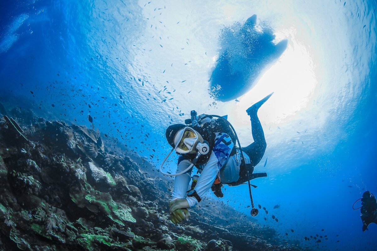 Scuba-Diving-In-Komodo-The-Ultimate-Diver8217s-Guide scuba-diving-in-komodo-the-ultimate-divers-guide