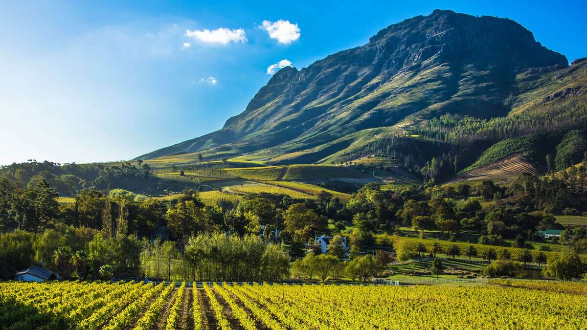 Tbilisi-And-The-Western-Winelands-2024 tbilisi-and-the-western-winelands-2024
