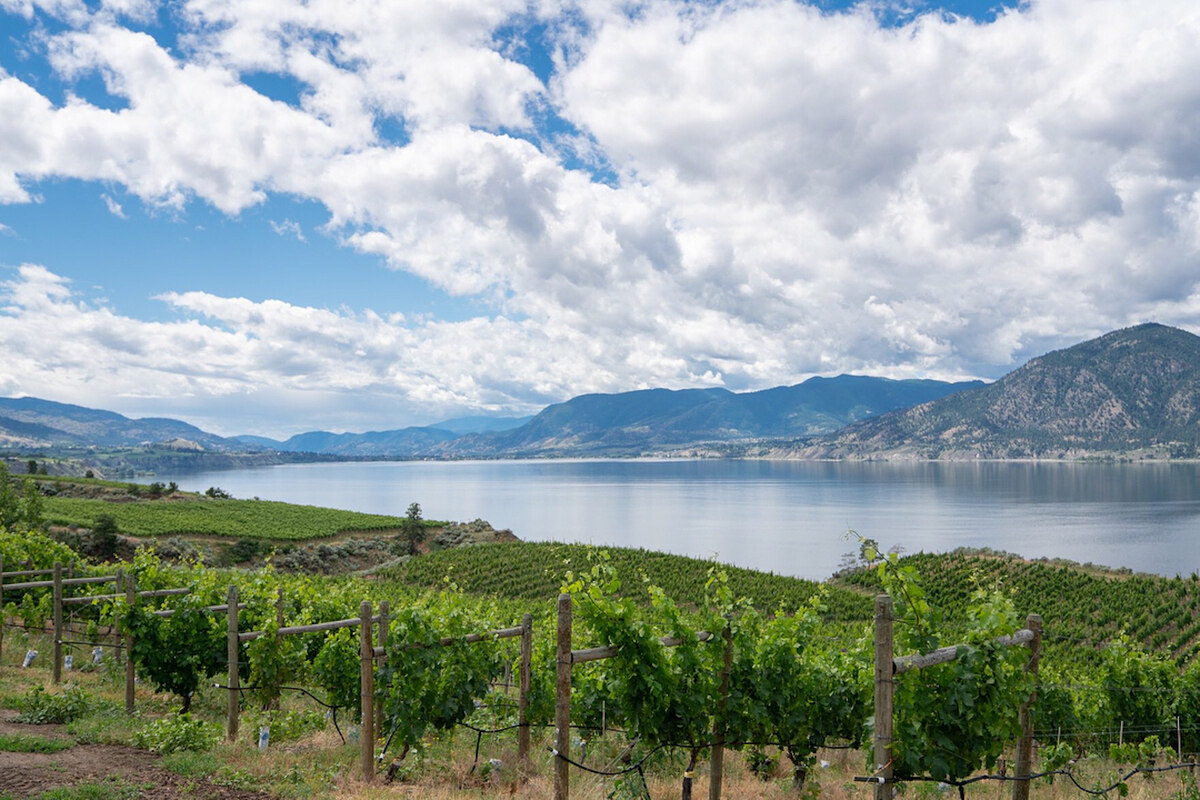 the-best-alberta-wineries-and-vineyards-to-visit-this-summer