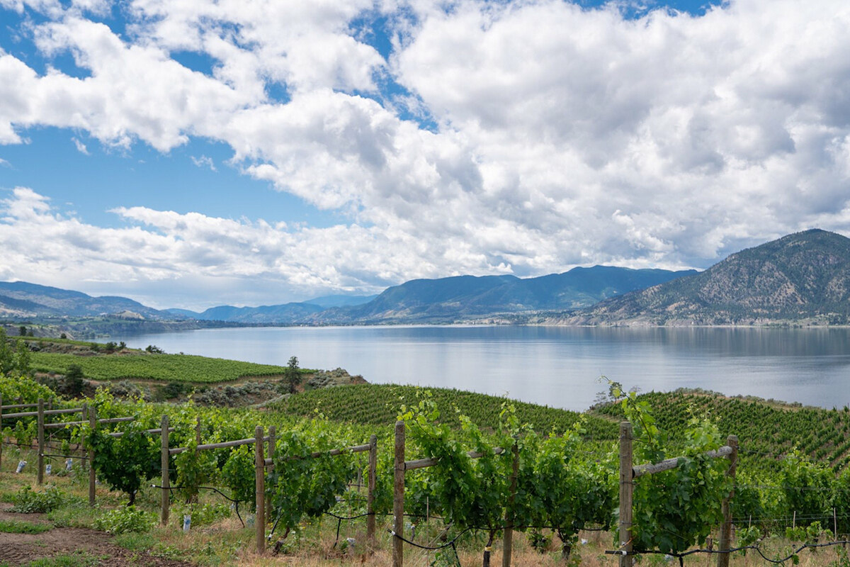 The-Best-Alberta-Wineries-And-Vineyards-To-Visit-This-Summer the-best-alberta-wineries-and-vineyards-to-visit-this-summer