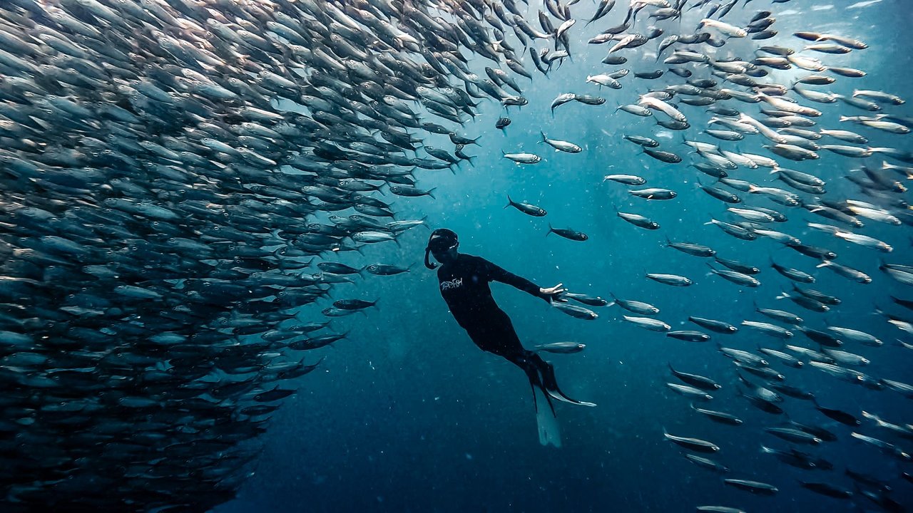 The-Digital-Nomad-Guide-For-Moalboal-Cebu the-digital-nomad-guide-for-moalboal-cebu