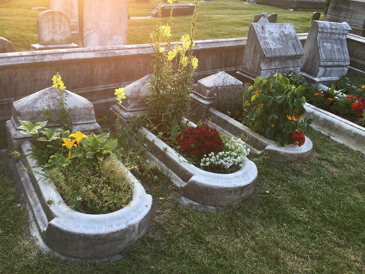 The-Mass-Grave-In-The-Garden the-mass-grave-in-the-garden