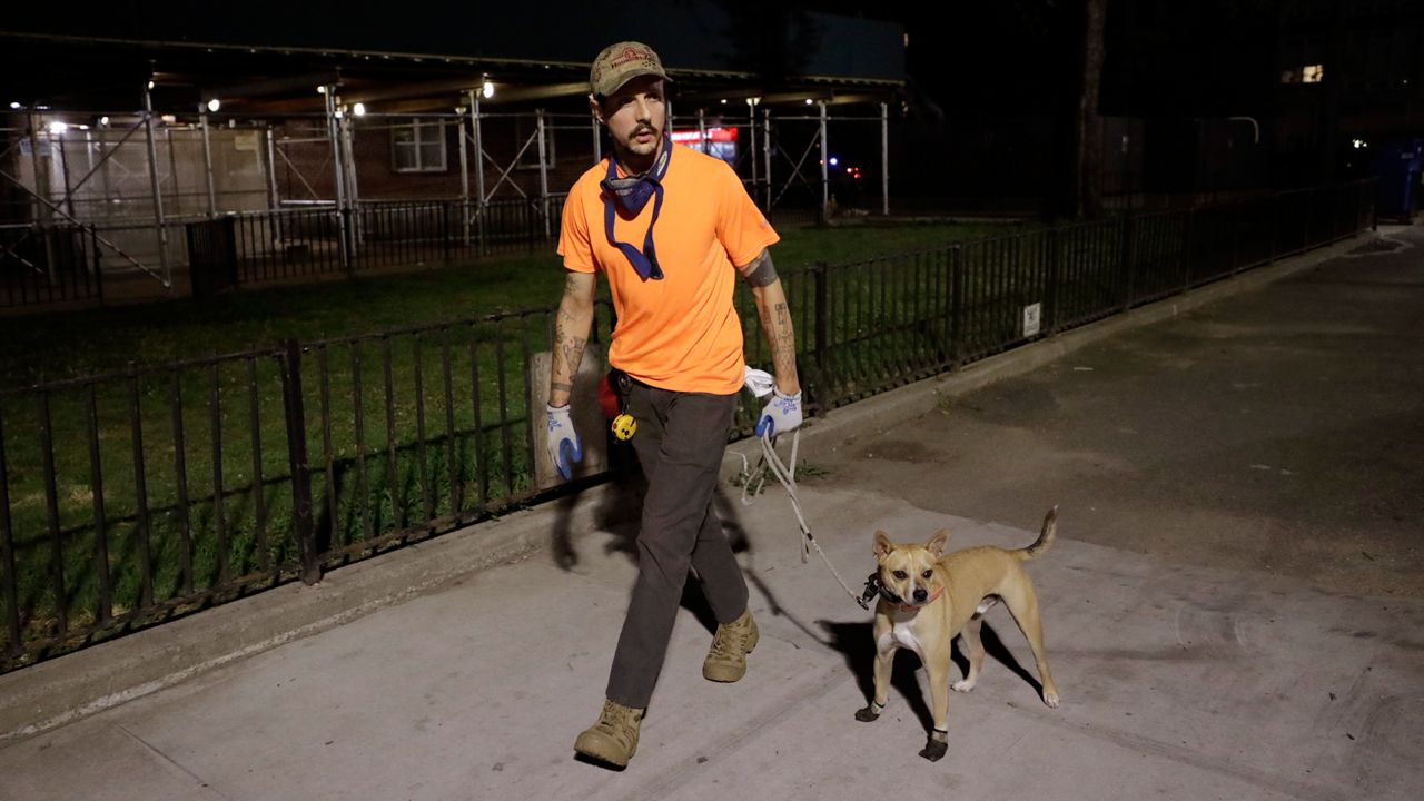 The-Rat-Hunters-Of-New-York the-rat-hunters-of-new-york