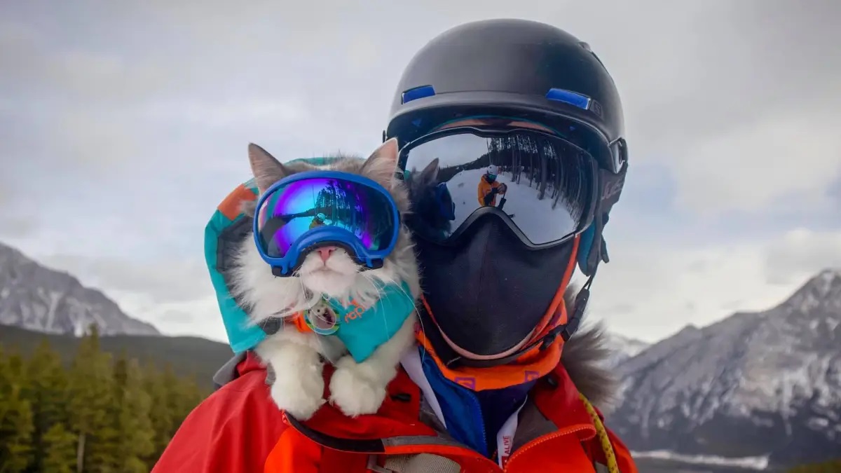 The-World-Of-Cat-Skiing-A-Different-Kind-Of-Adventure the-world-of-cat-skiing-a-different-kind-of-adventure