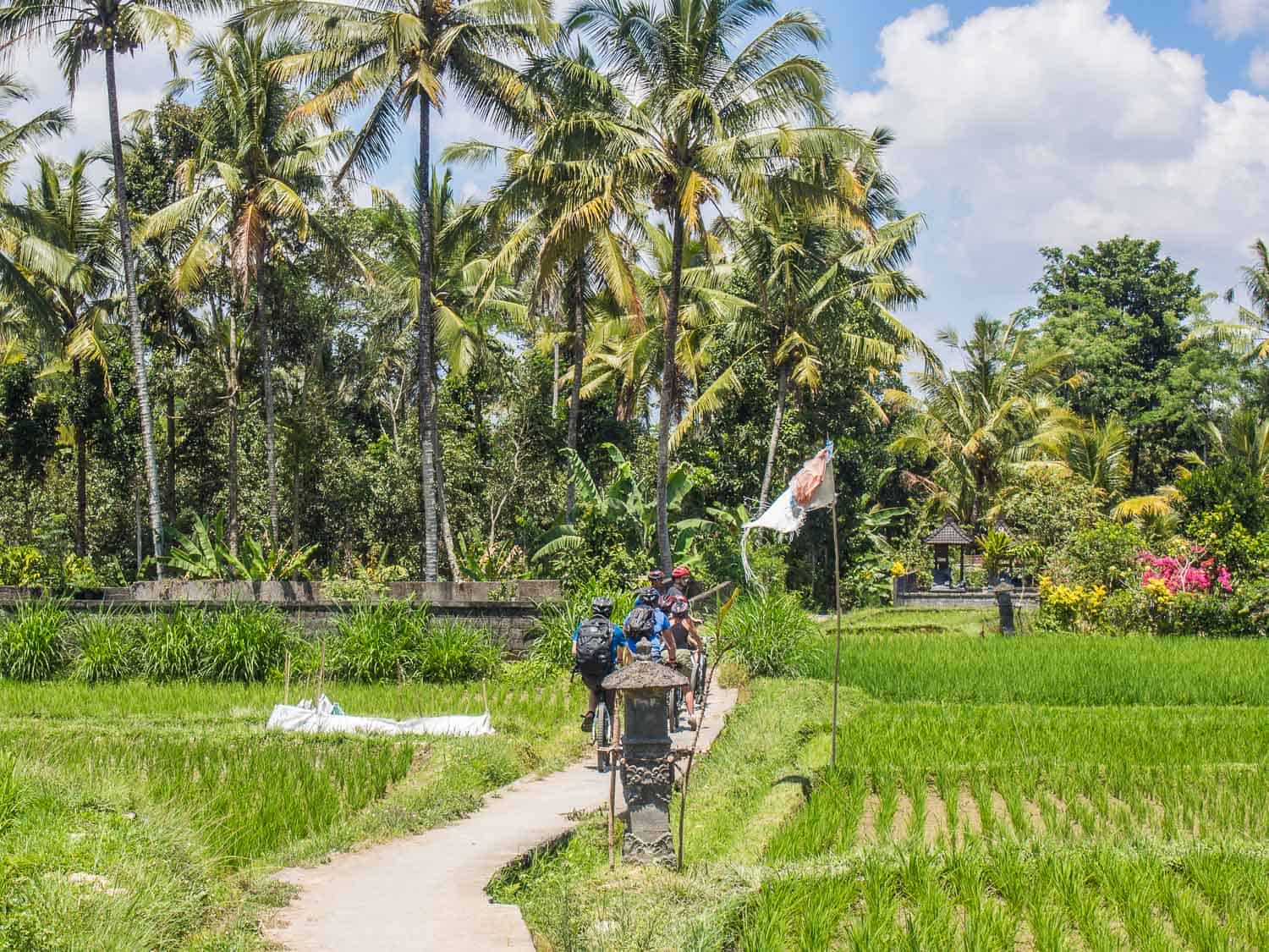 Things-To-Do-In-Ubud-The-Best-Ubud-Travel-Itinerary things-to-do-in-ubud-the-best-ubud-travel-itinerary