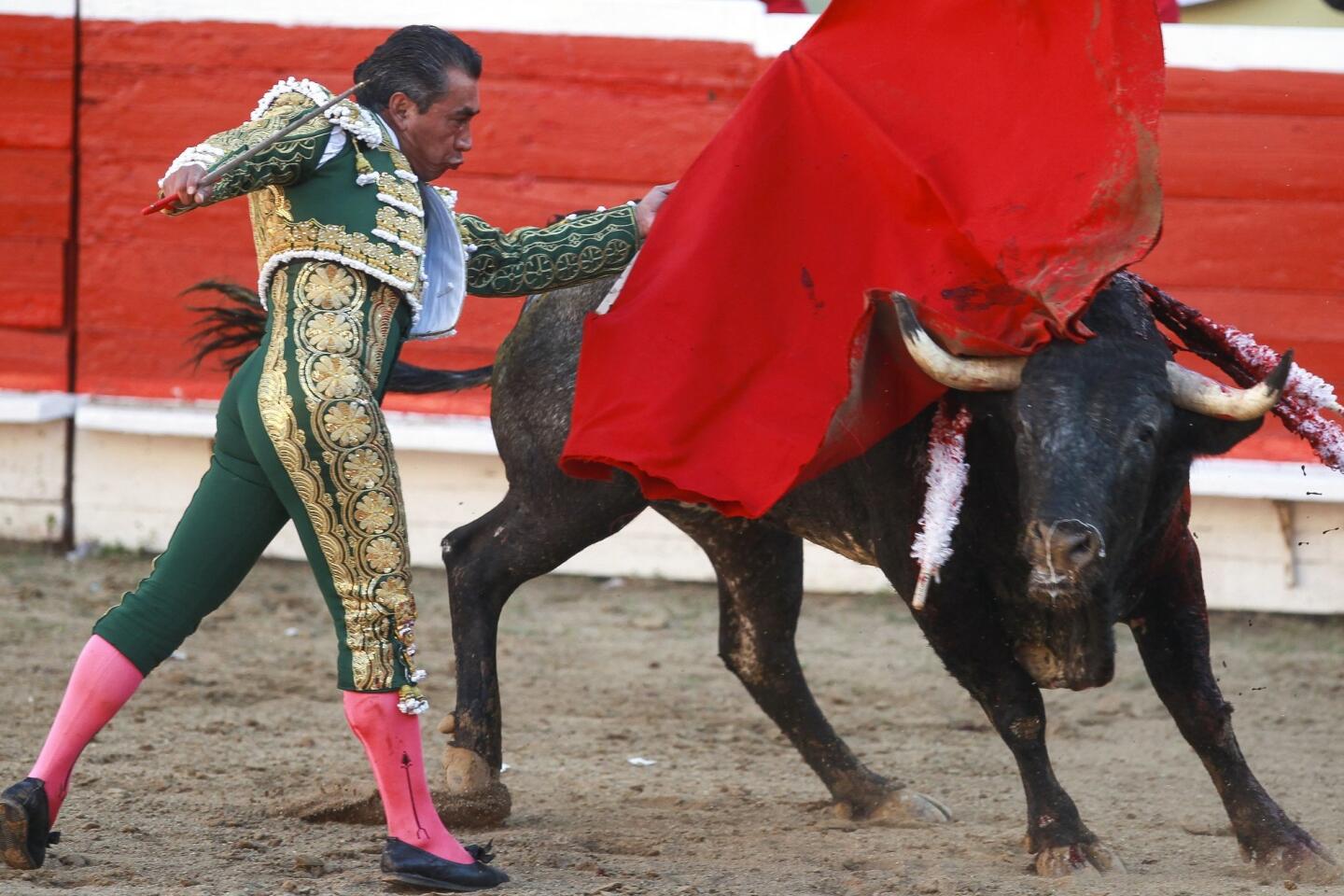 Tijuana’s-Last-Days-Of-Bullfighting tijuanas-last-days-of-bullfighting