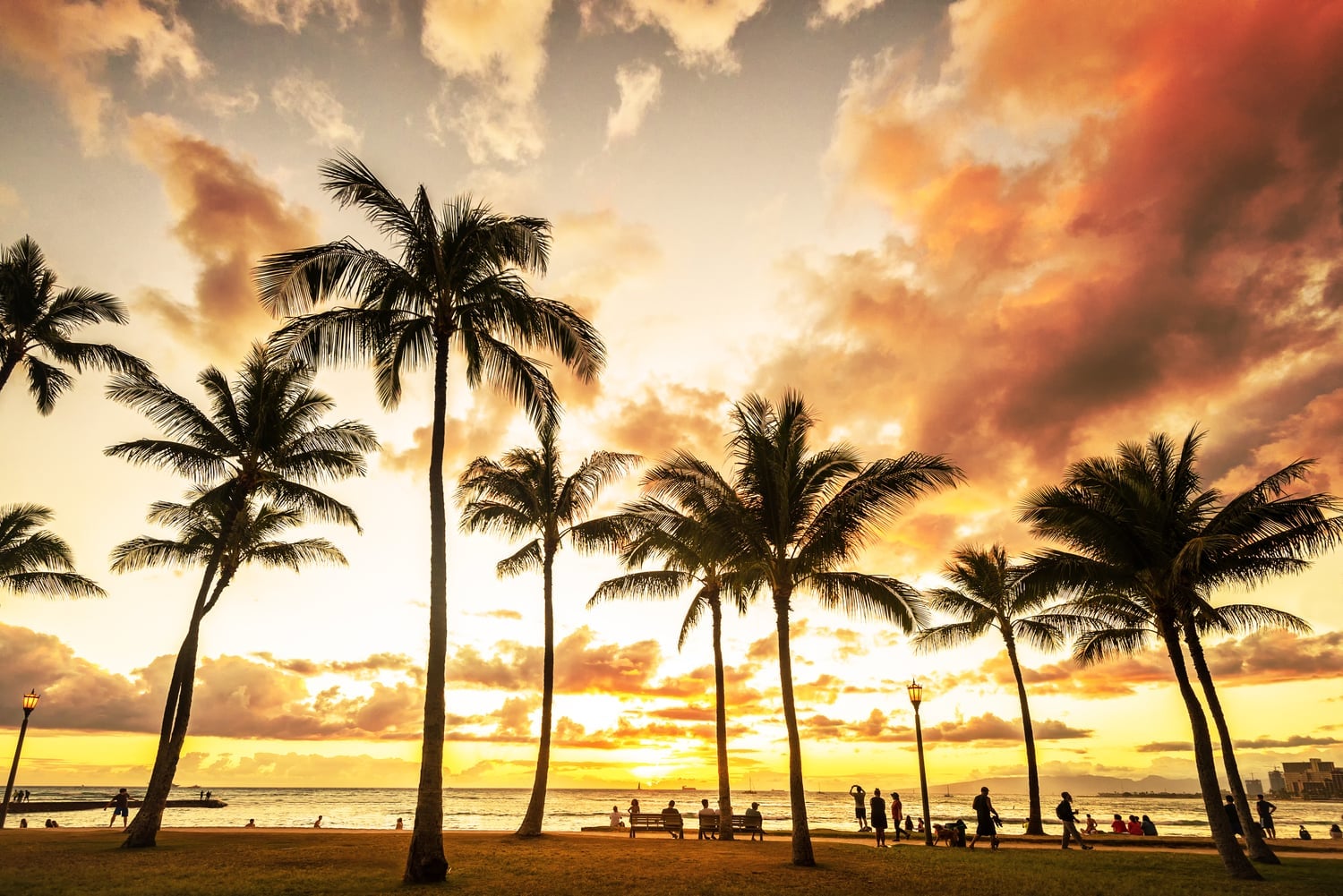 waikiki-beach-sunset-guide-10-best-places-to-watch-sunset-in-waikiki