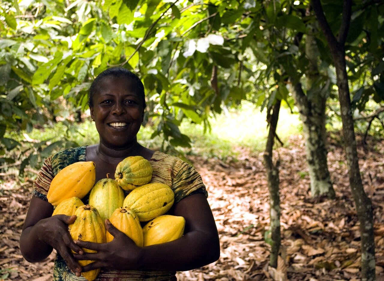 What-Does-Fair-Trade-Have-To-Do-With-Ecotourism what-does-fair-trade-have-to-do-with-ecotourism