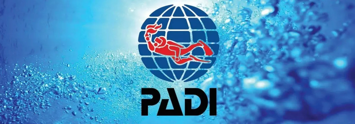 What-Does-PADI-Stand-For-In-Scuba-Diving what-does-padi-stand-for-in-scuba-diving