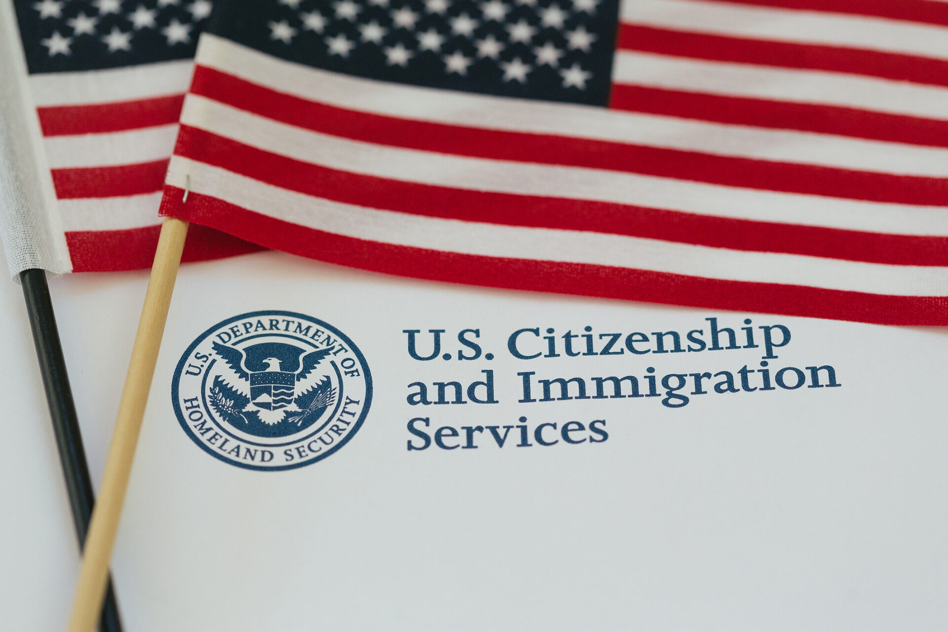 what-is-a-travel-document-number-for-uscis