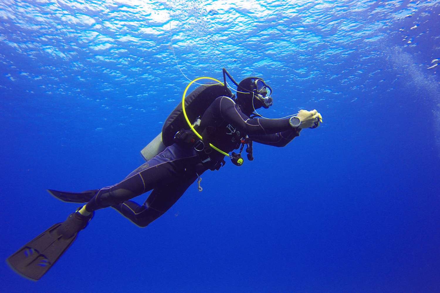 What-Is-Bends-In-Scuba-Diving what-is-bends-in-scuba-diving