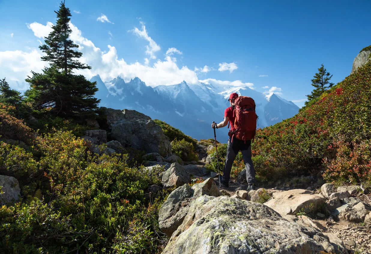 What-Is-Difference-Between-Hiking-And-Trekking what-is-difference-between-hiking-and-trekking