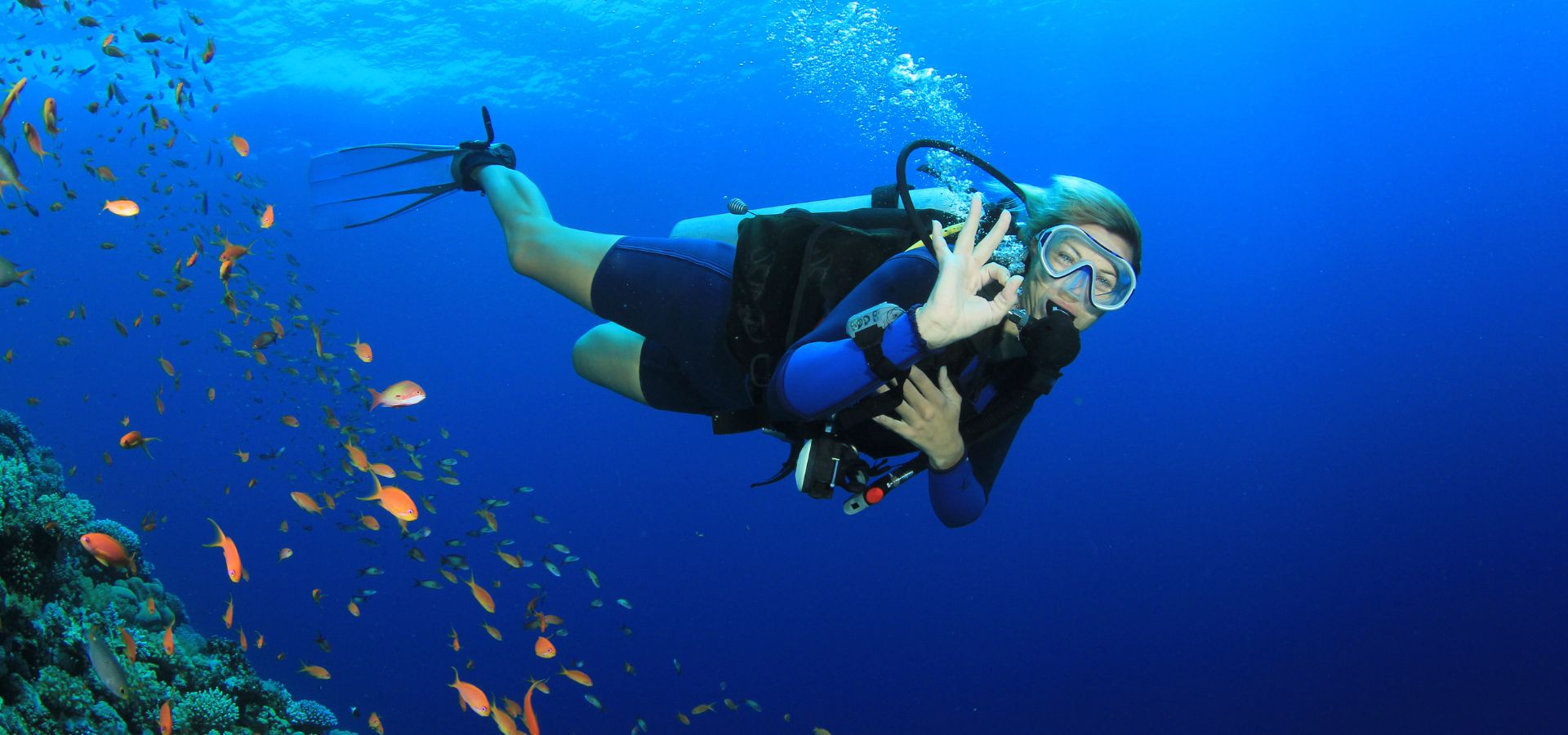 What-Is-The-Difference-Between-Snorkeling-And-Scuba-Diving what-is-the-difference-between-snorkeling-and-scuba-diving