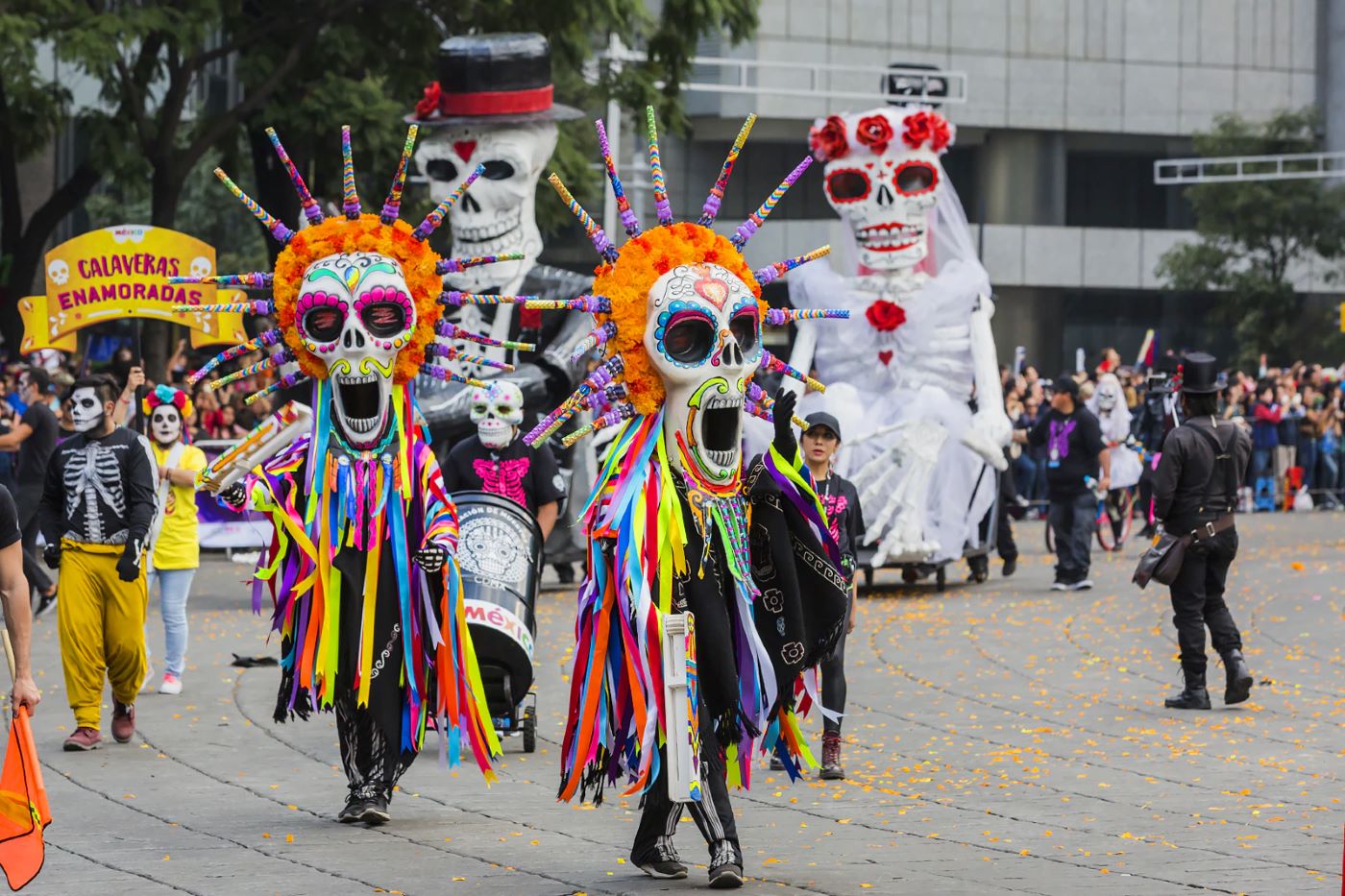 What-Is-The-Most-Popular-Holiday-In-Mexico what-is-the-most-popular-holiday-in-mexico