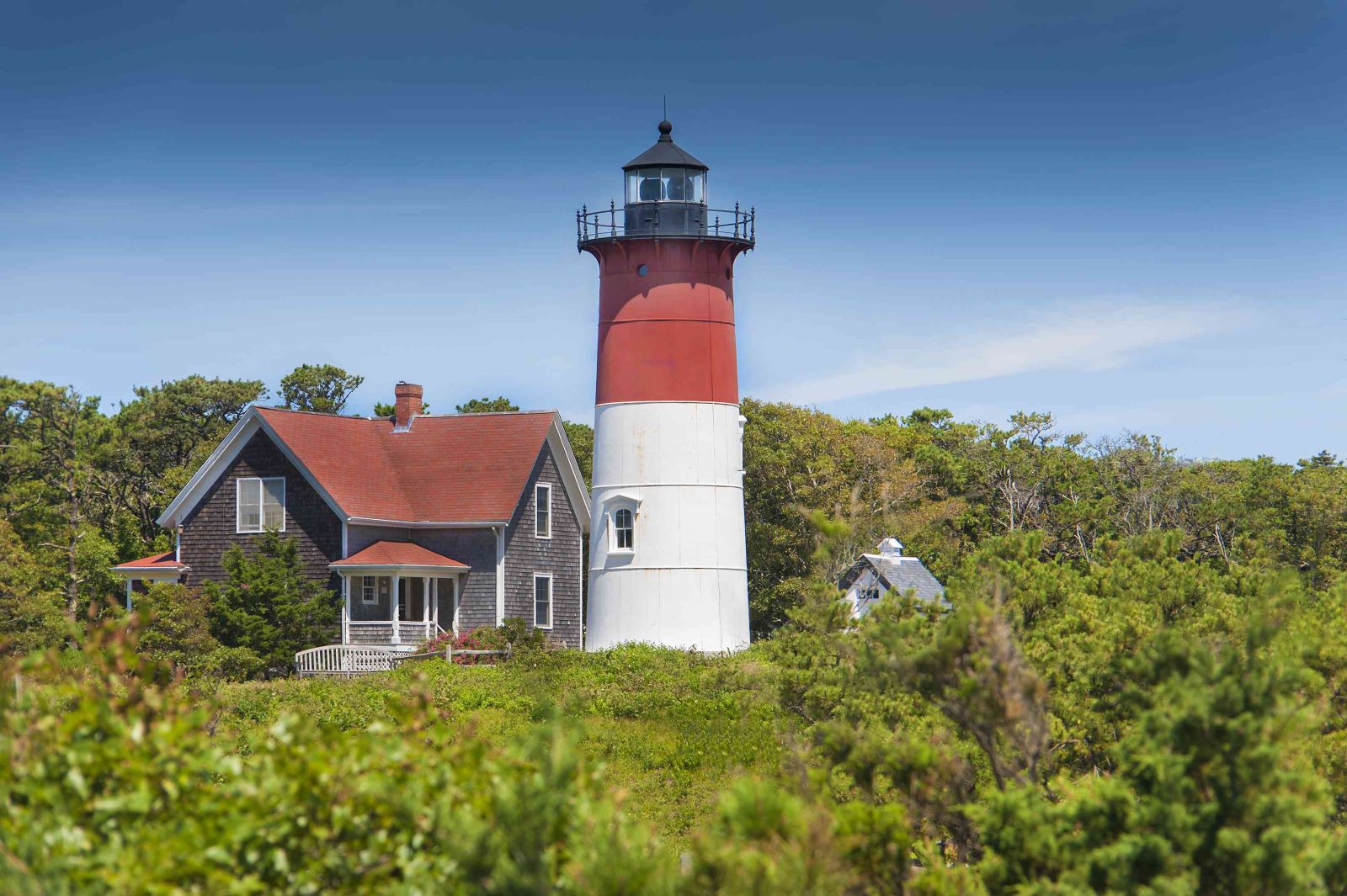 what-should-i-do-on-a-day-trip-to-cape-cod