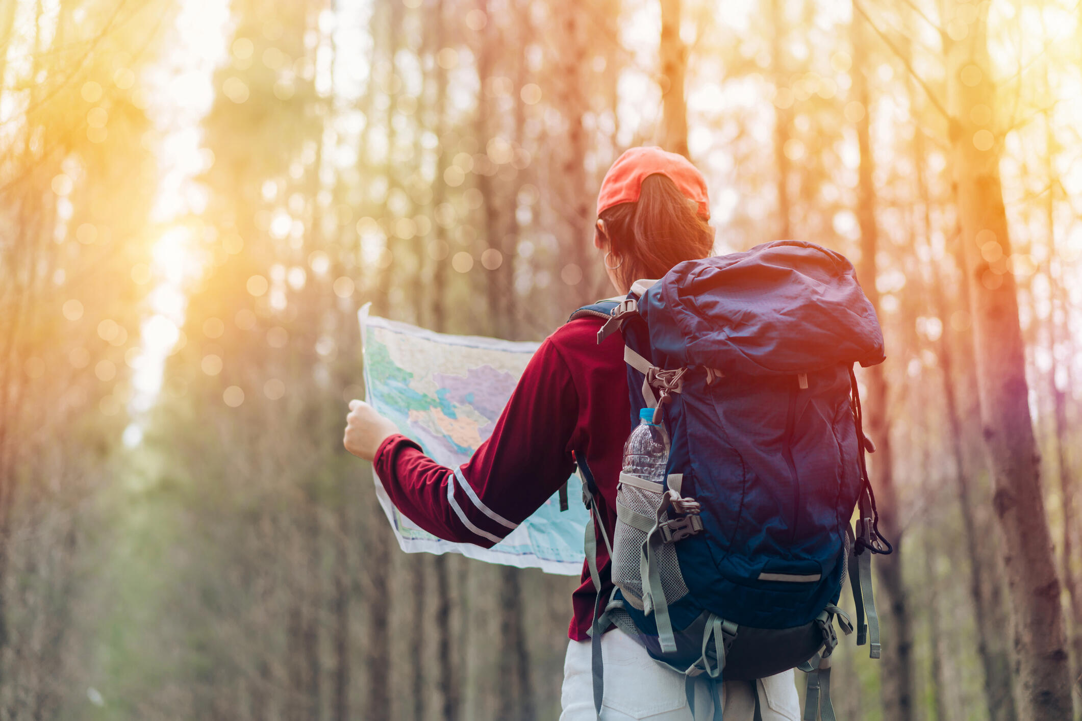 What-To-Do-If-You-Get-Lost-Hiking what-to-do-if-you-get-lost-hiking