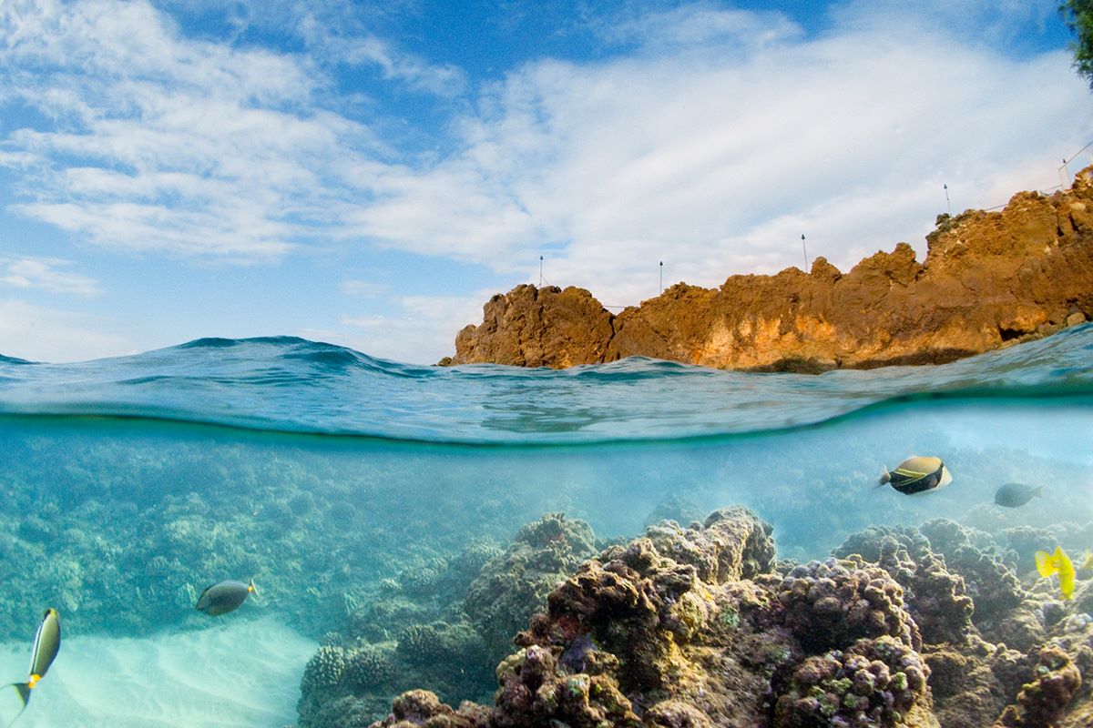 Where-Is-The-Best-Snorkeling-In-Maui where-is-the-best-snorkeling-in-maui