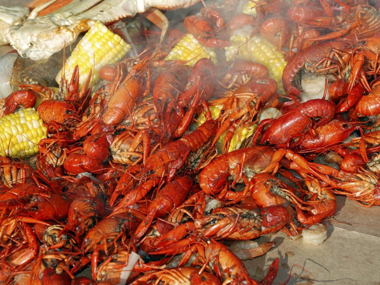 Where-To-Find-The-Best-Food-In-New-Orleans where-to-find-the-best-food-in-new-orleans