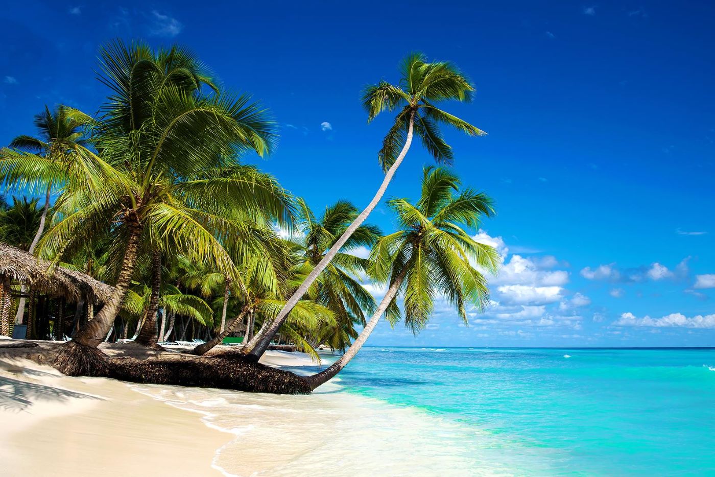 Where-To-Vacation-In-The-Dominican-Republic where-to-vacation-in-the-dominican-republic