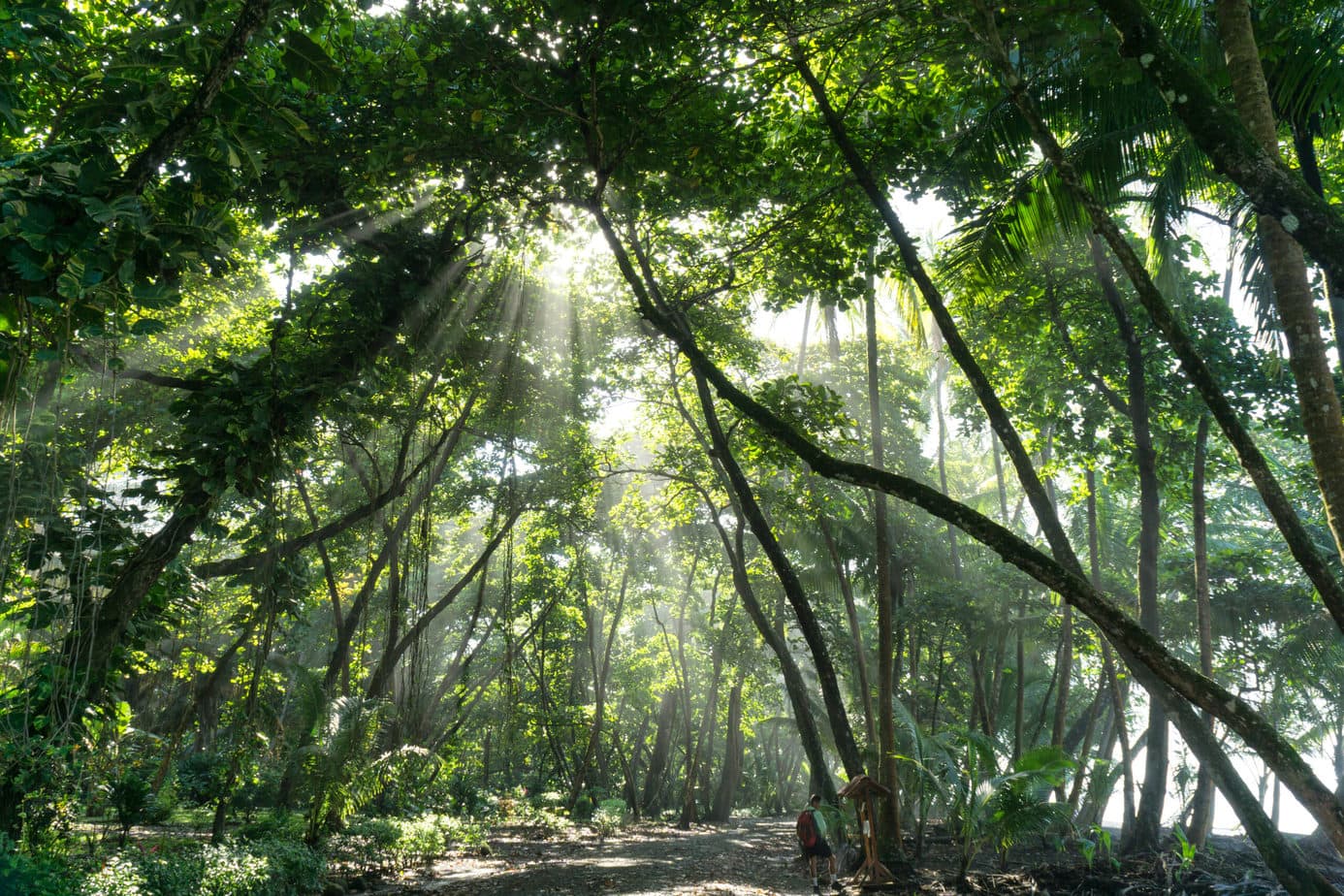 Which-Country8217s-Main-Source-Of-Foreign-Exchange-Is-Ecotourism which-countrys-main-source-of-foreign-exchange-is-ecotourism