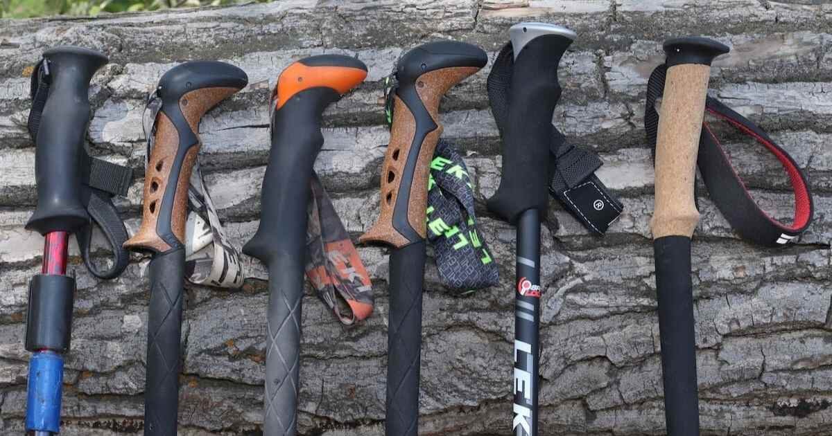 Who-Makes-Best-Trekking-Poles who-makes-best-trekking-poles