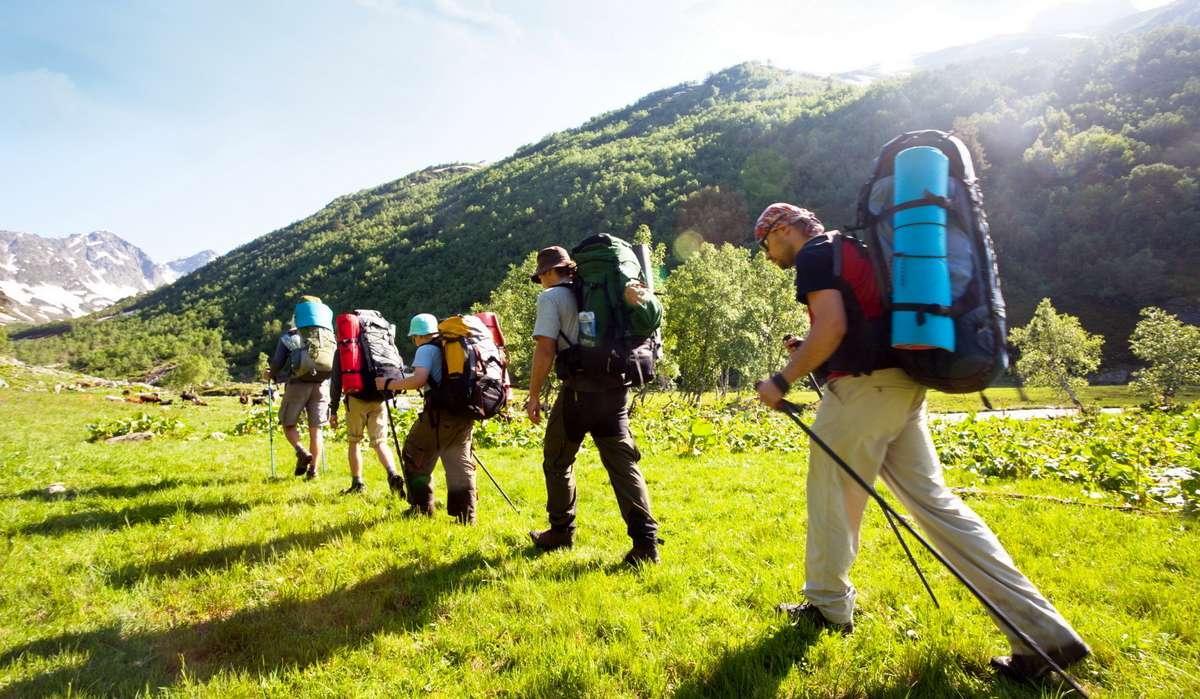 Why-Did-SLWCS-Stop-The-Ecotourism-Project why-did-slwcs-stop-the-ecotourism-project