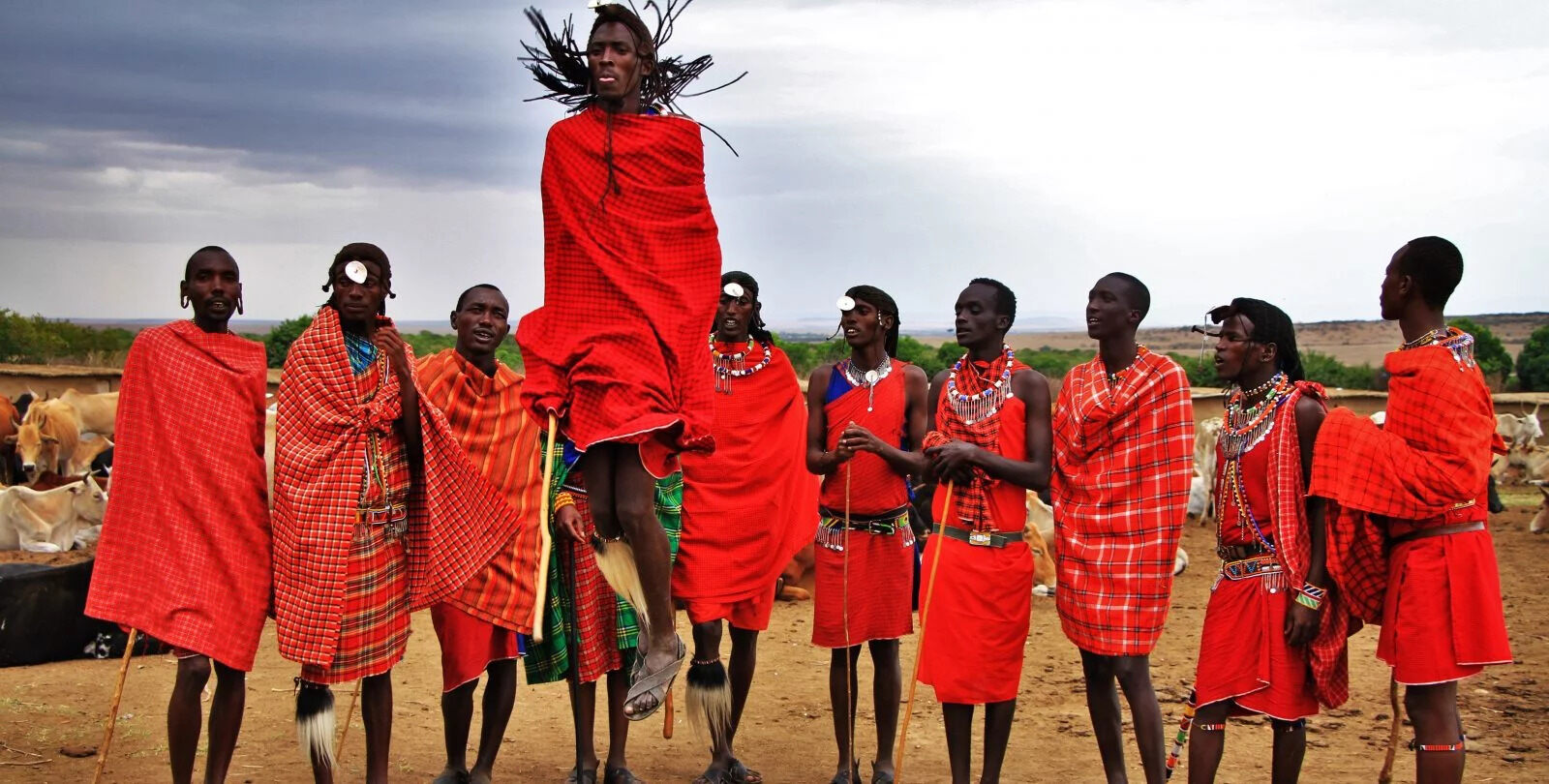 Why-Would-A-Nomad-Prefer-To-Travel-In-A-Tribe why-would-a-nomad-prefer-to-travel-in-a-tribe