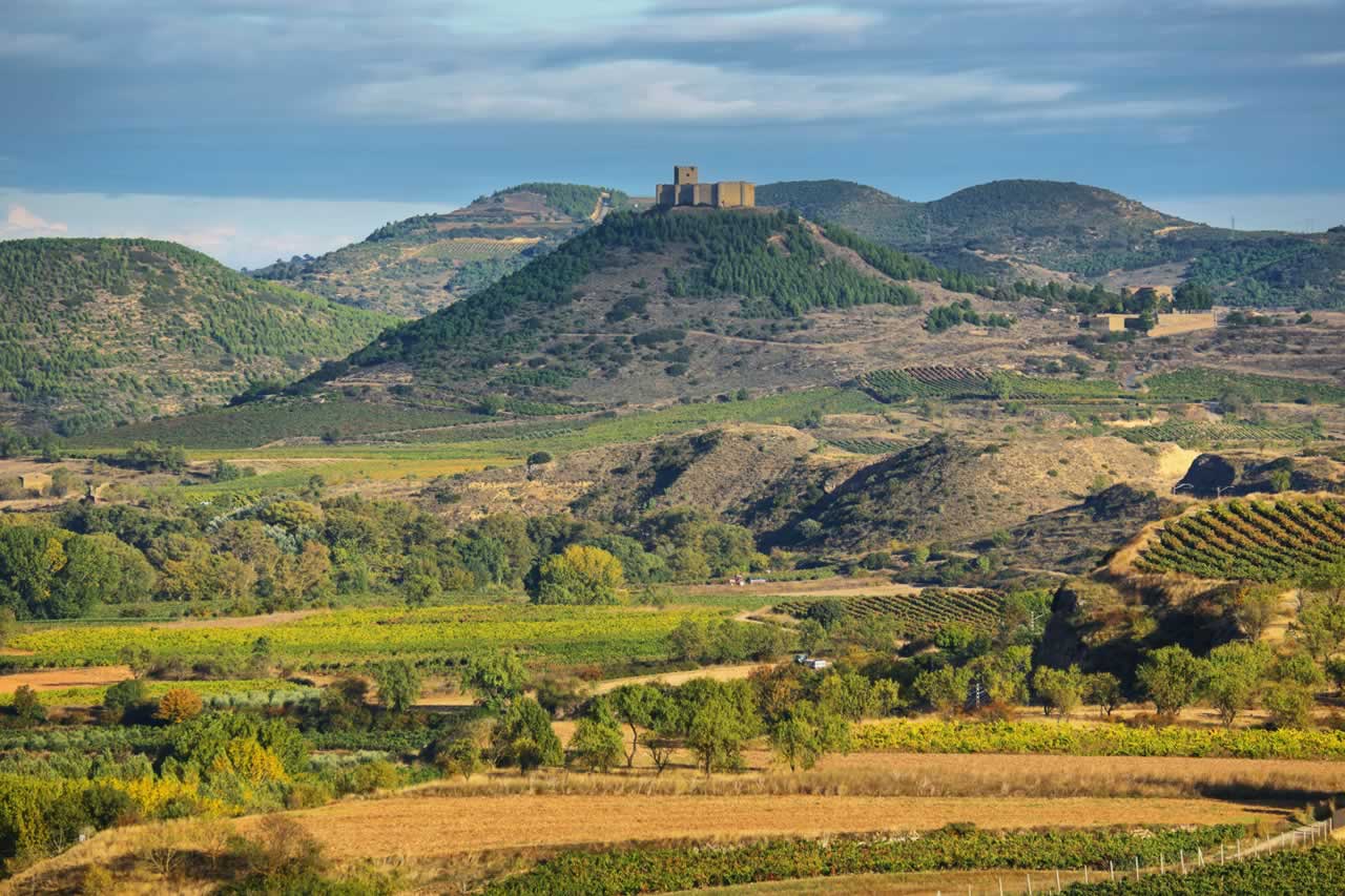 An-Evening-In-Logroño-La-Rioja-Spain8217s-Beautiful-Wine-Region an-evening-in-logrono-la-rioja-spains-beautiful-wine-region