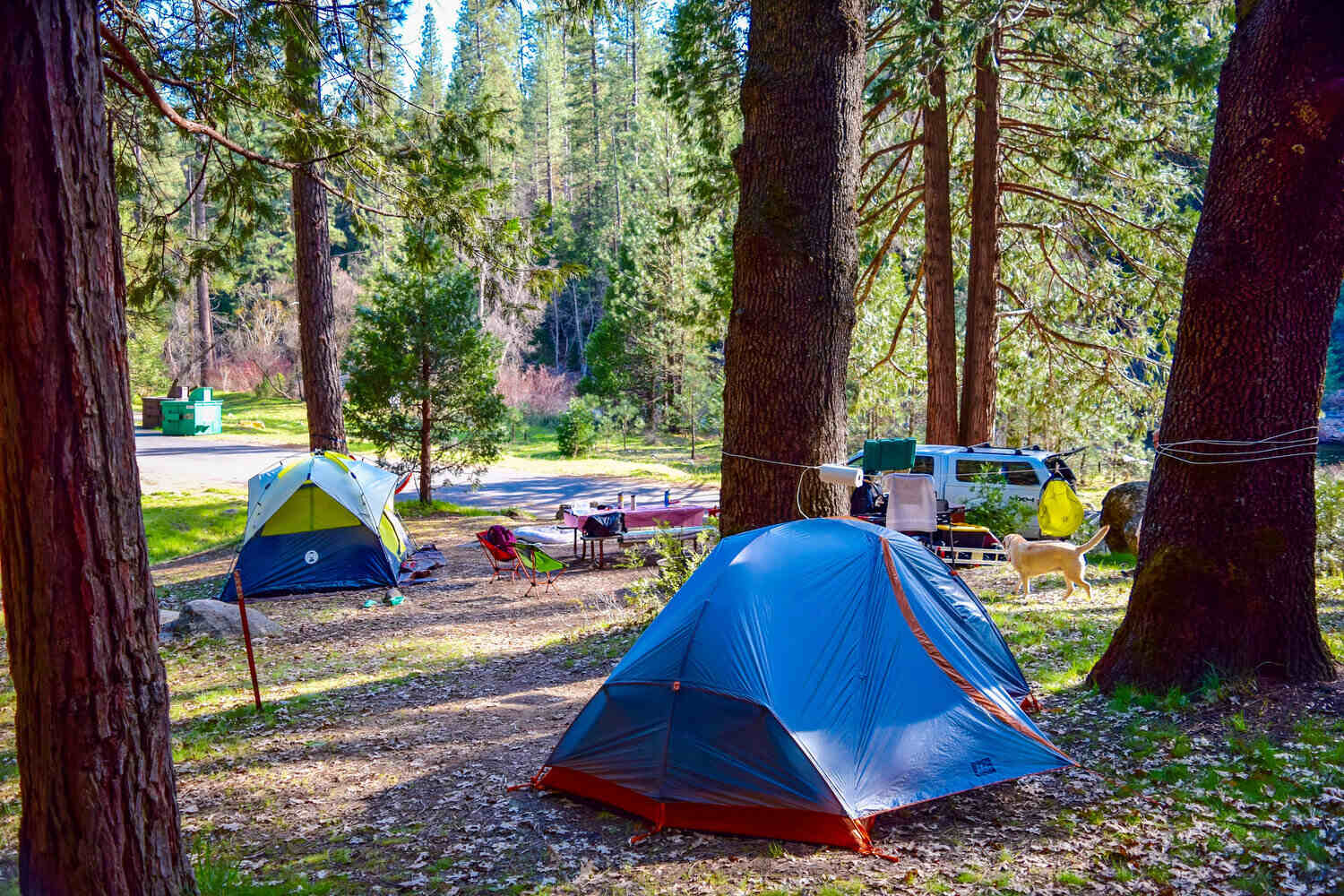 Booking-A-Campsite-In-Yosemite-Tips-And-Strategies booking-a-campsite-in-yosemite-tips-and-strategies