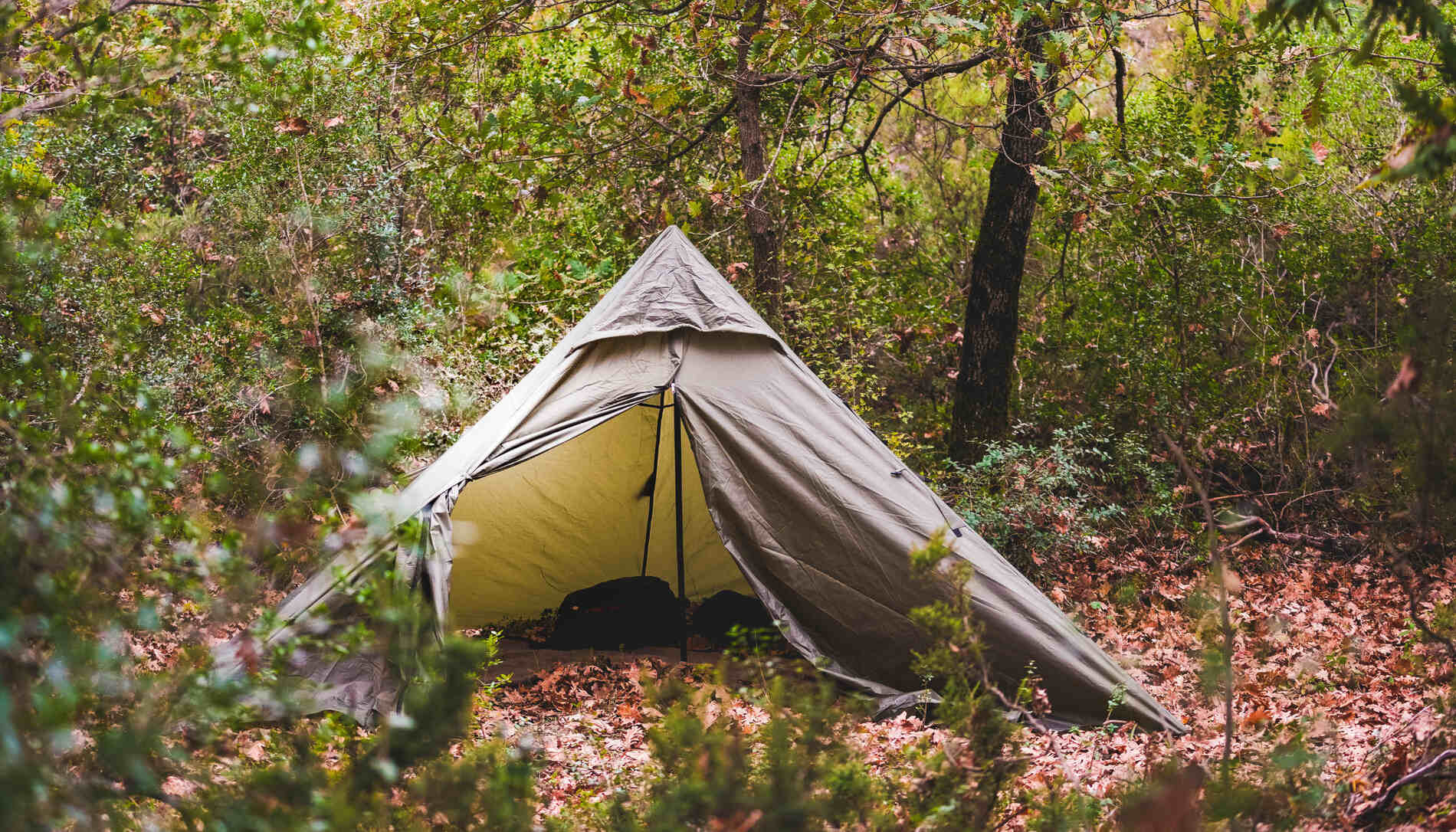 bushcraft-camping-an-introduction-to-wilderness-survival