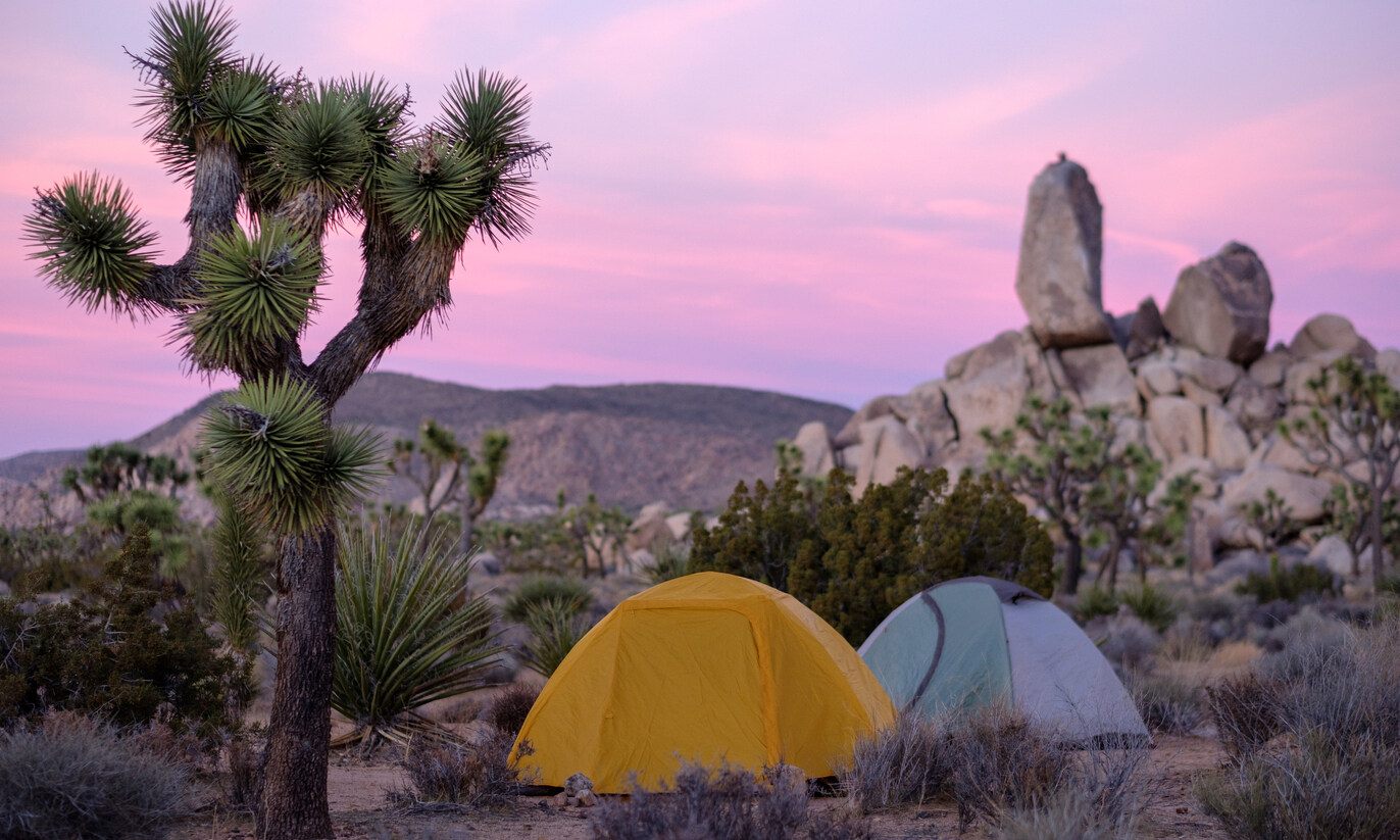california-dreaming-best-places-to-go-camping-in-california
