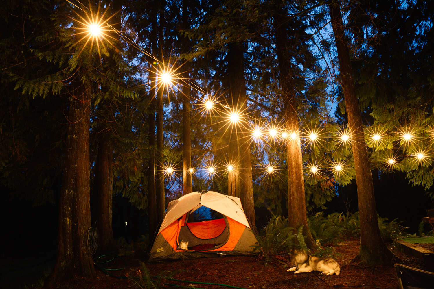 ColdWeather Camping Tips for Staying Cozy Without a Fire TouristSecrets