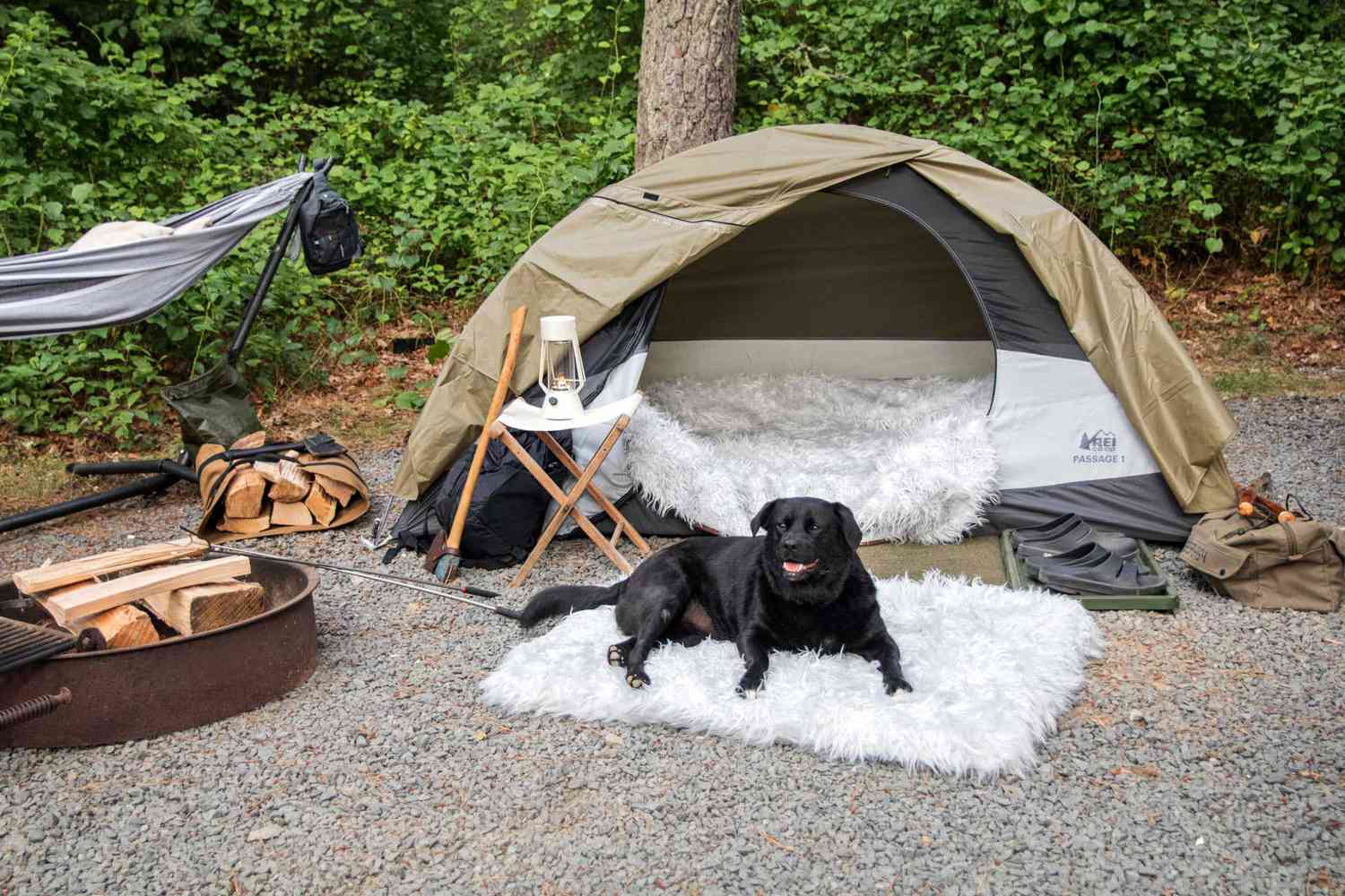 Cool-Canine-Companions-Keeping-Your-Dog-Comfortable-On-Camping-Trips cool-canine-companions-keeping-your-dog-comfortable-on-camping-trips