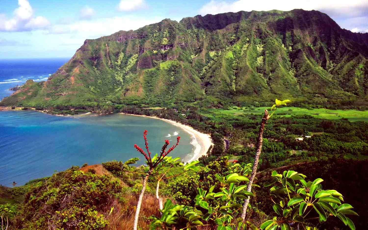 Hiking-Pu8217u-Piei-Makai-Trail-On-Oahu-Hawaii hiking-puu-piei-makai-trail-on-oahu-hawaii