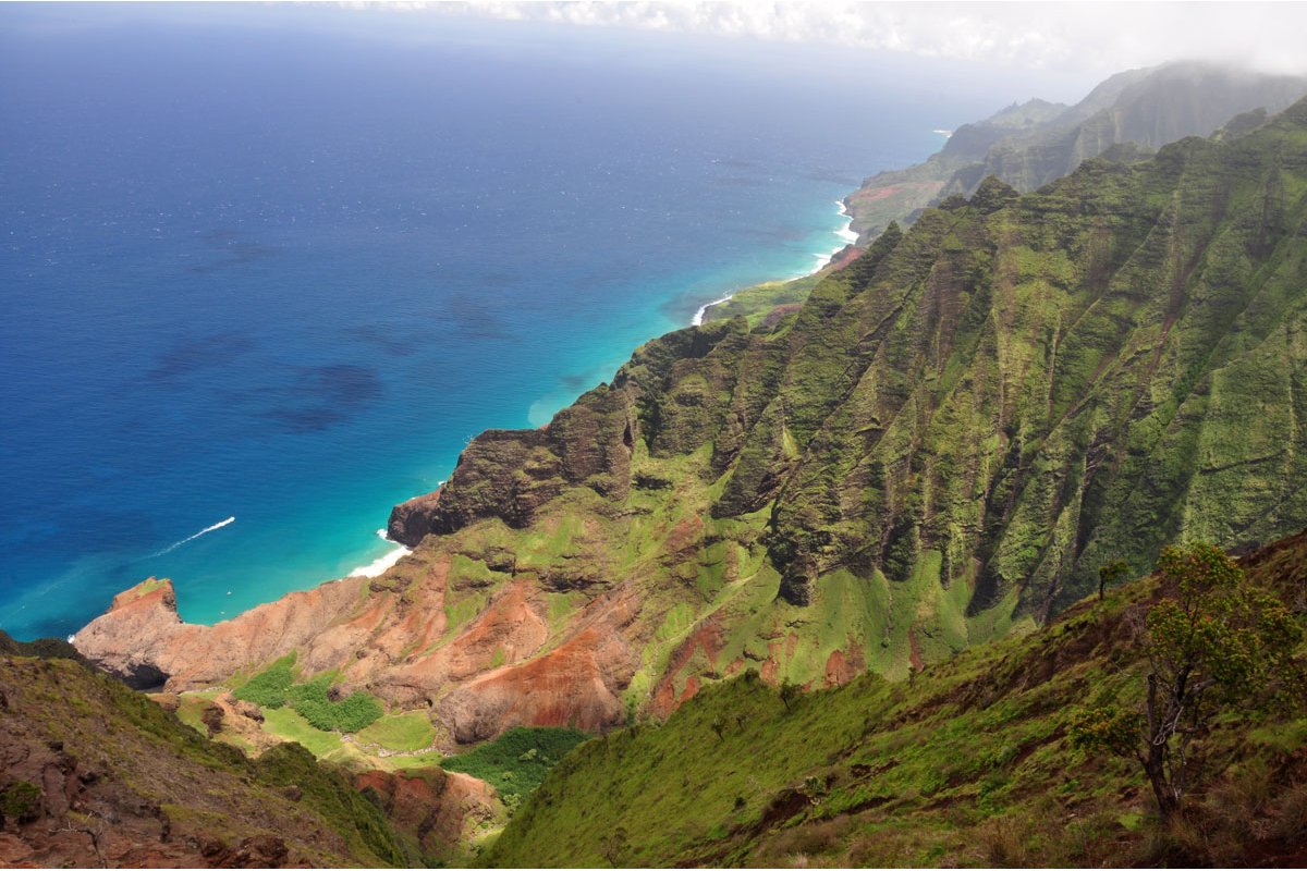 Honopu-Ridge-Trail-On-Kauai-Hawaii-Complete-Guide honopu-ridge-trail-on-kauai-hawaii-complete-guide