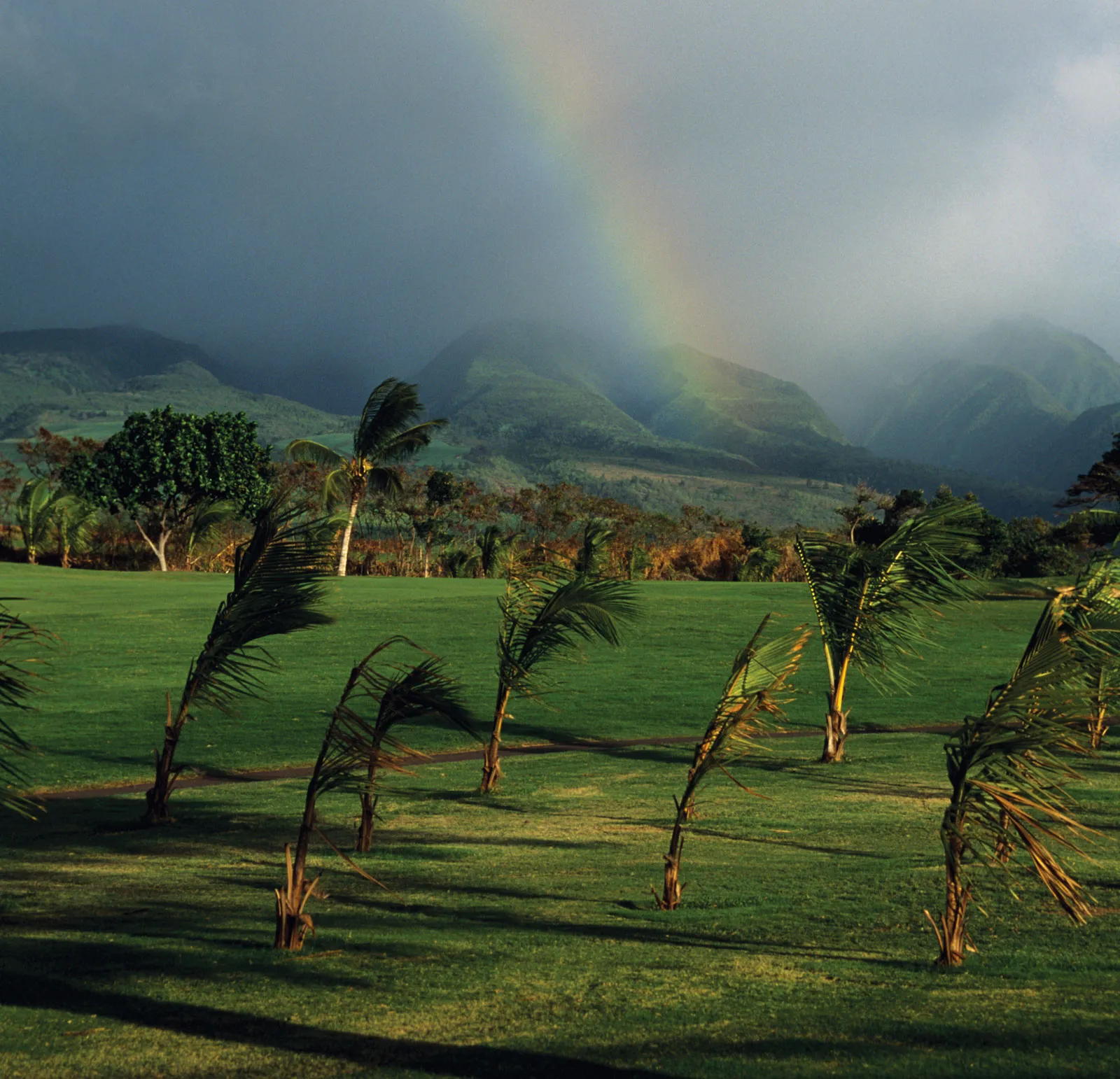 How-And-When-Does-A-Mountain-Breeze-Form-During-Your-Trip how-and-when-does-a-mountain-breeze-form-during-your-trip