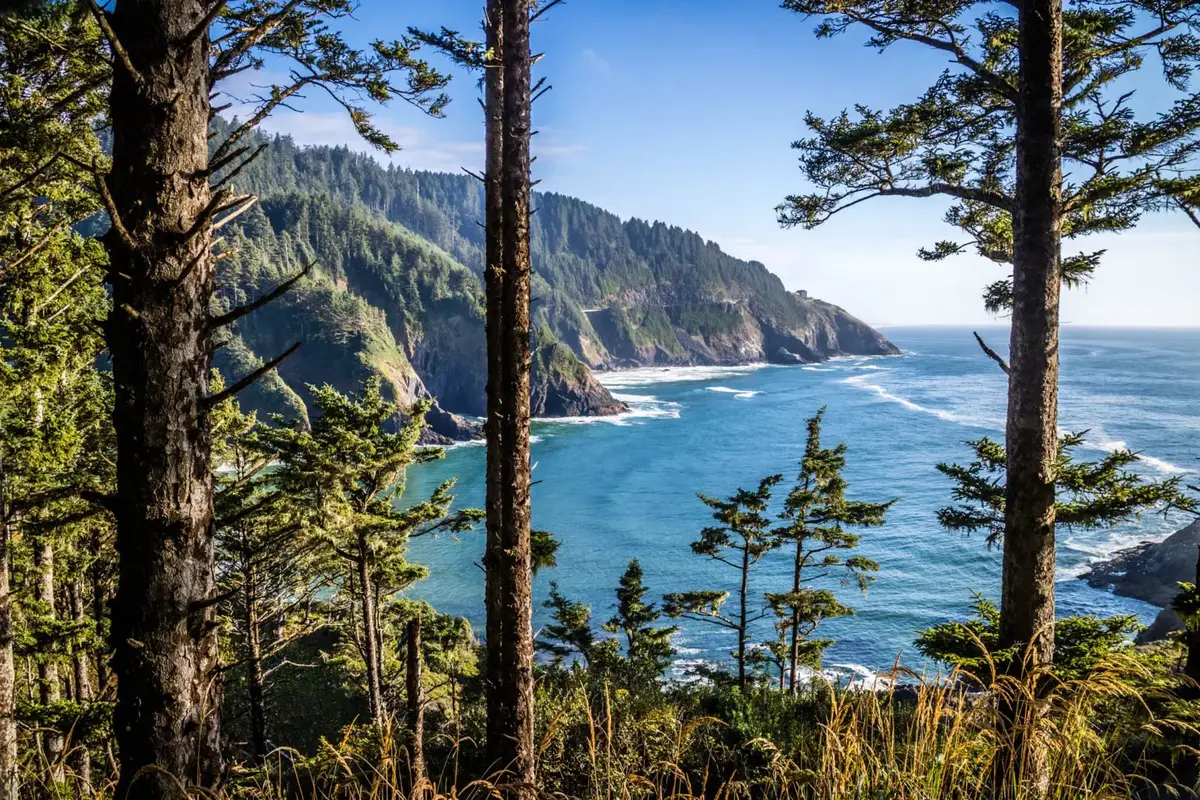How-Do-I-Get-A-Trip-Permit-In-Oregon how-do-i-get-a-trip-permit-in-oregon
