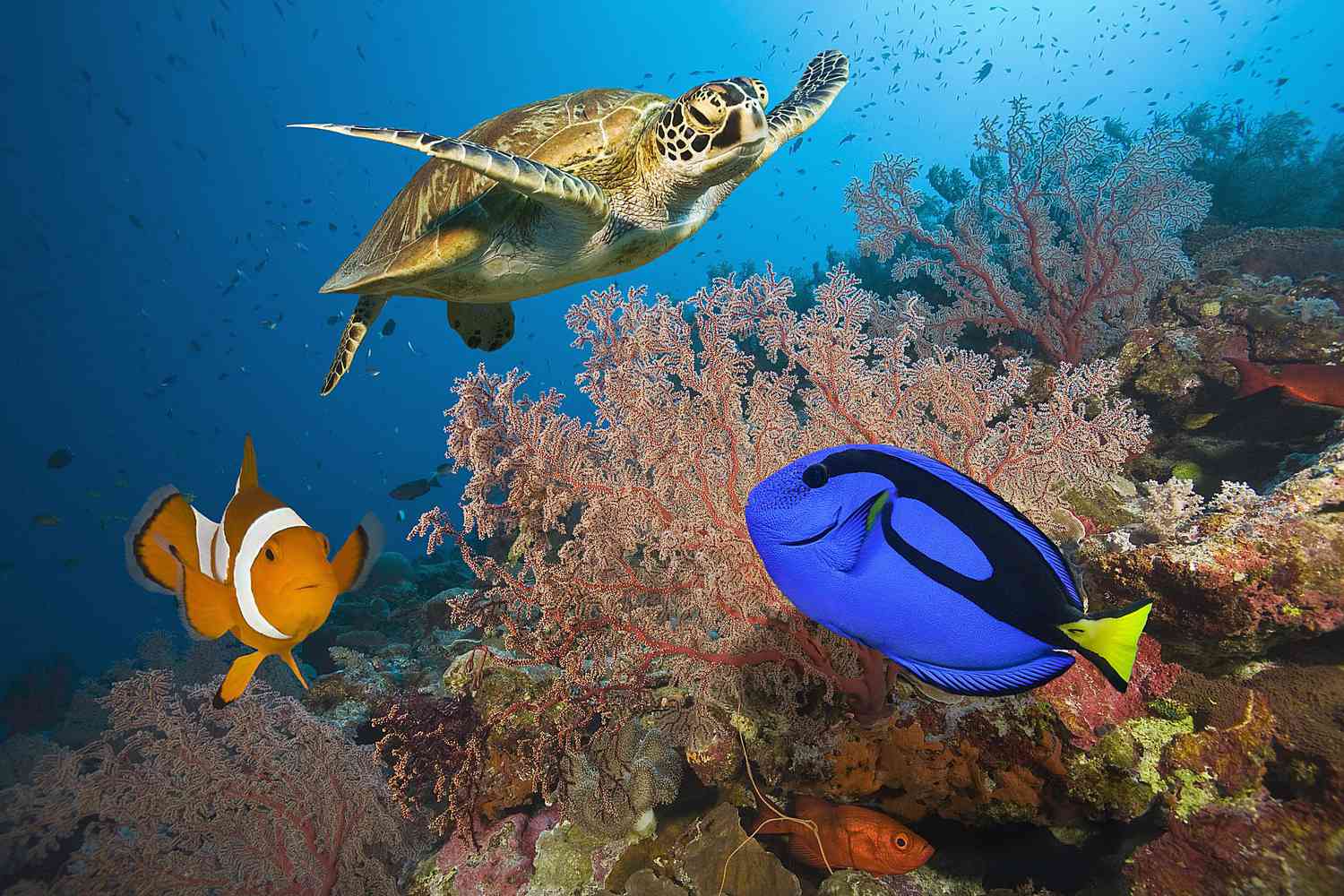 How Does Tourism Affect The Great Barrier Reef | TouristSecrets