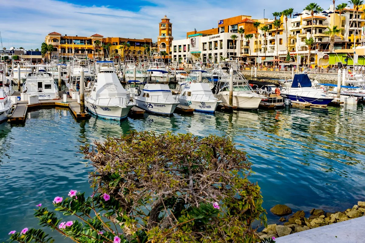 How-Far-Is-Cabo-Wabo-From-Cruise-Port how-far-is-cabo-wabo-from-cruise-port