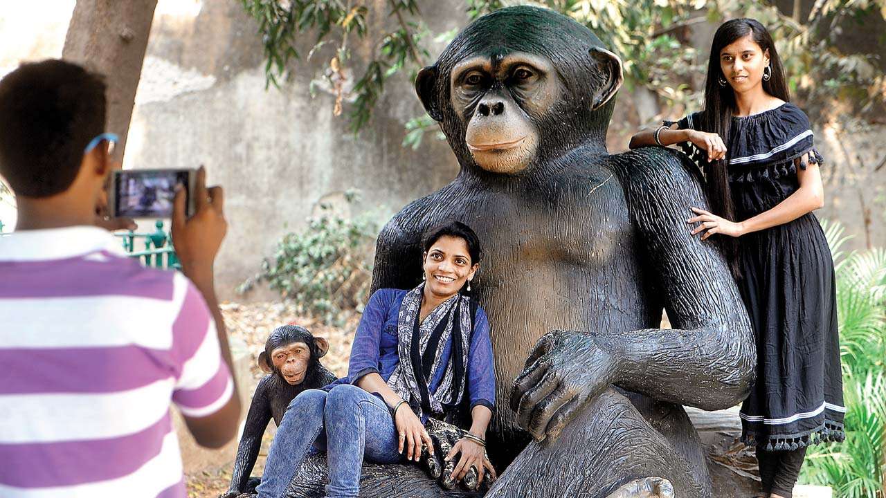 How-Hard-Is-It-To-Be-A-Tour-Guide-At-The-Zoo how-hard-is-it-to-be-a-tour-guide-at-the-zoo