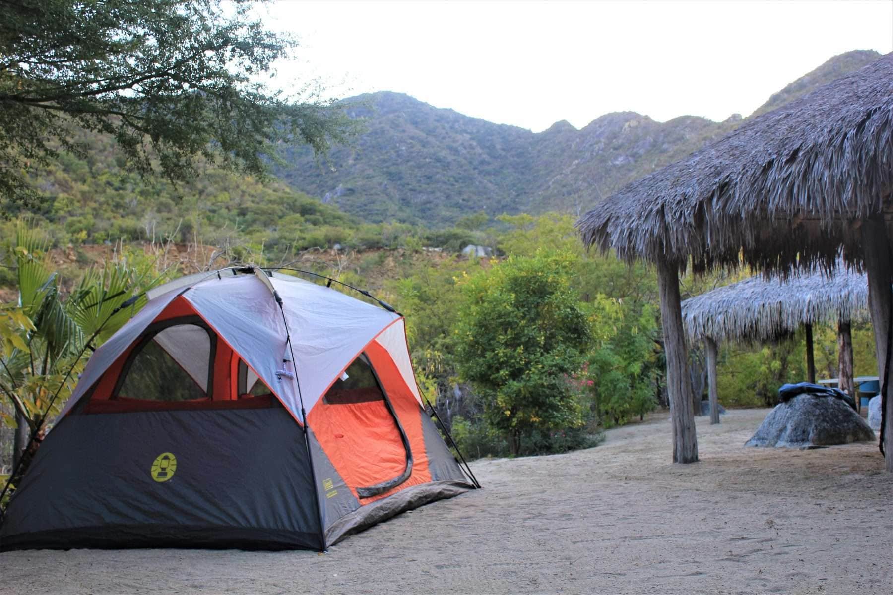 How-Many-Days-Can-You-Stay-At-A-Walk-In-Campsite-In-A-National-Park how-many-days-can-you-stay-at-a-walk-in-campsite-in-a-national-park