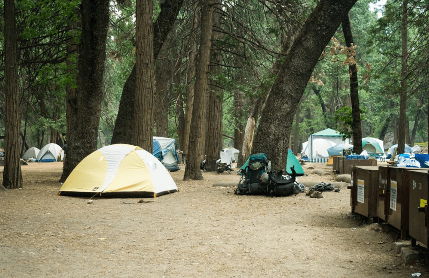 How-Many-People-At-One-Yosemite-Per-Campsite how-many-people-at-one-yosemite-per-campsite