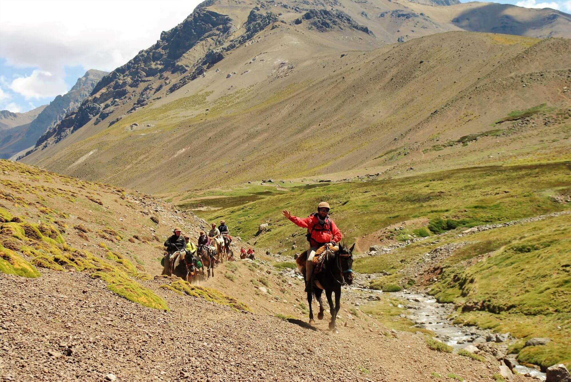 How-Much-To-Tip-A-Horse-Trail-Tour-Guide how-much-to-tip-a-horse-trail-tour-guide