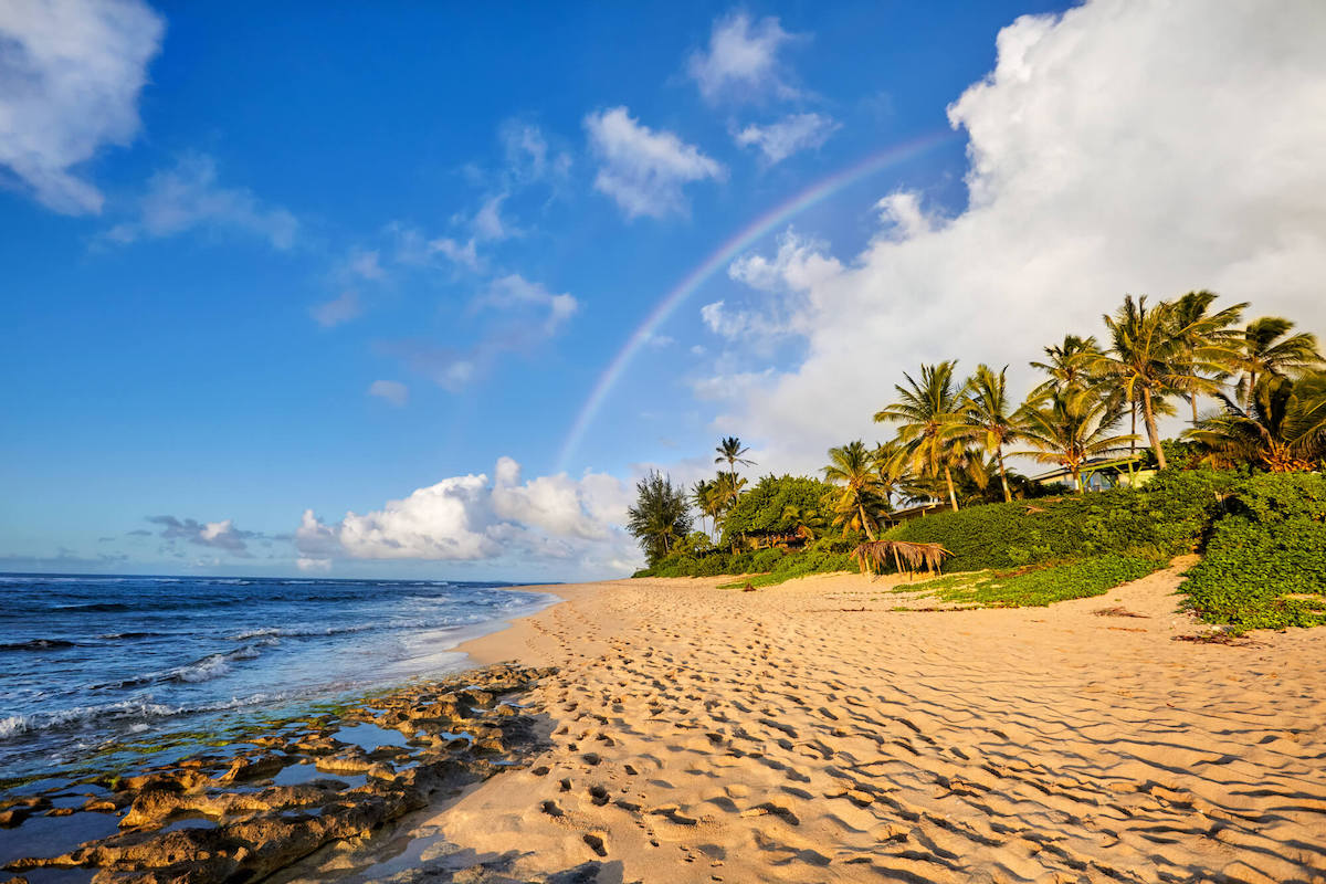How-To-Get-From-Waikiki-To-North-Shore-On-Oahu-6-Best-Options how-to-get-from-waikiki-to-north-shore-on-oahu-6-best-options