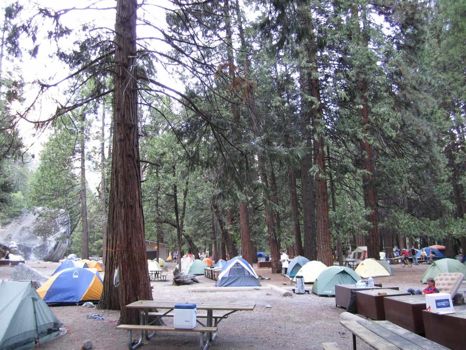 How-To-Get-Last-Minute-Campsite-In-Yosemite how-to-get-last-minute-campsite-in-yosemite