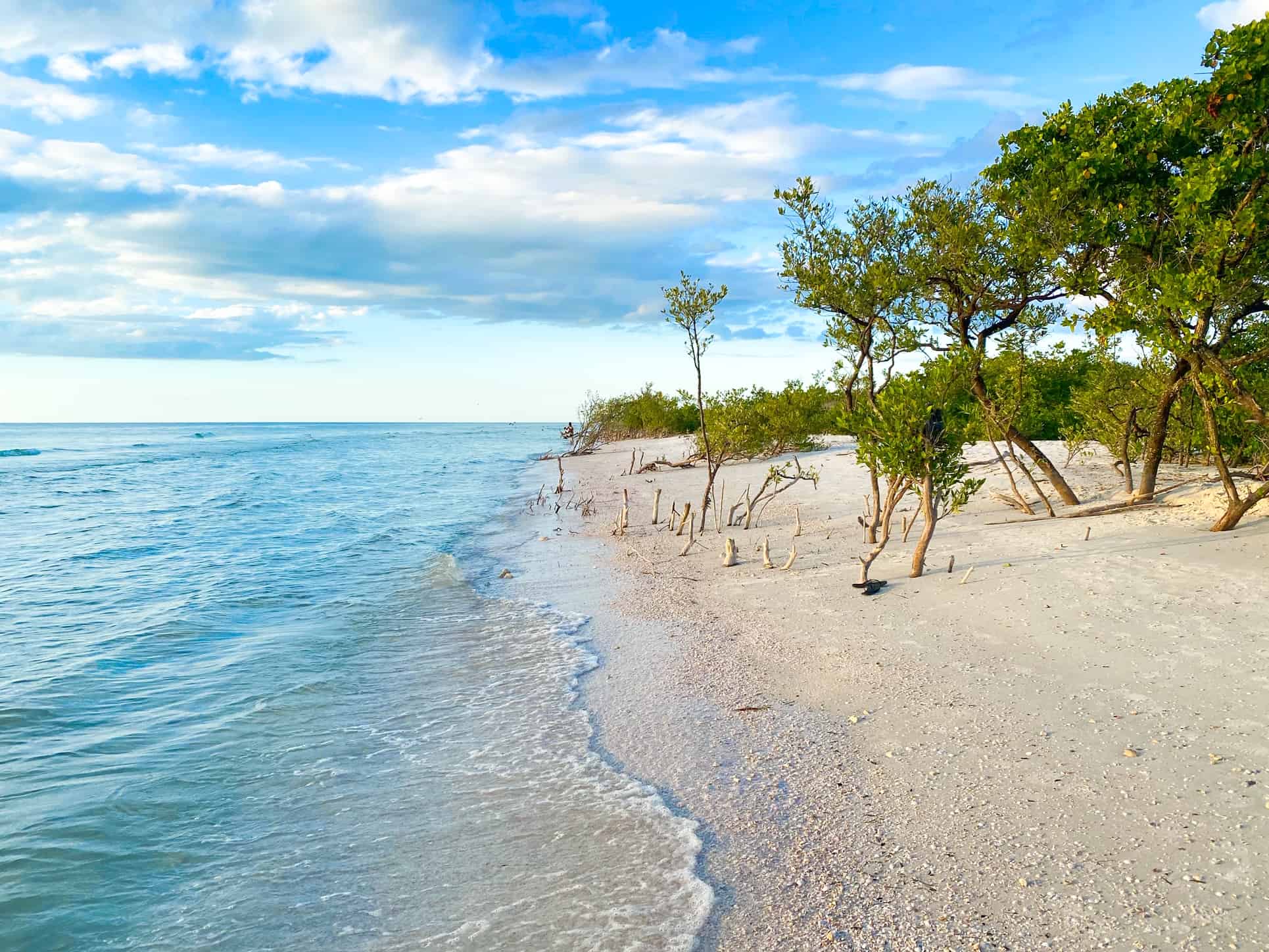 How-To-Get-To-Honeymoon-Island how-to-get-to-honeymoon-island