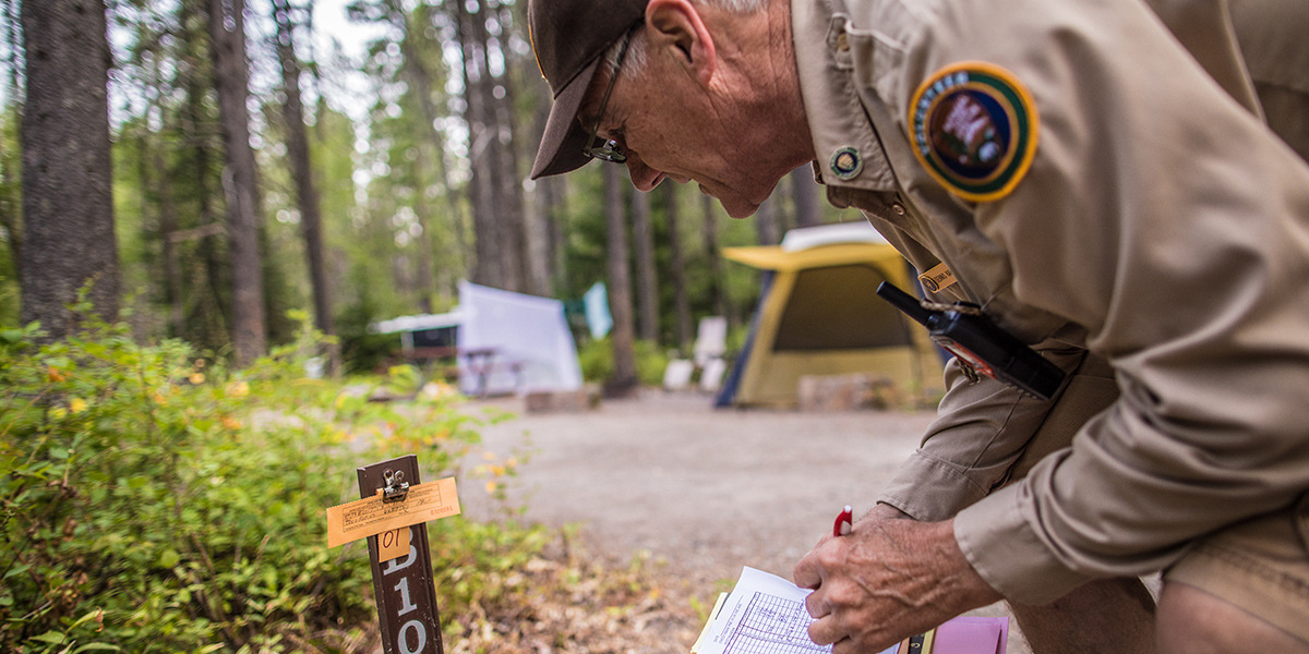 How-To-Host-A-Campsite how-to-host-a-campsite