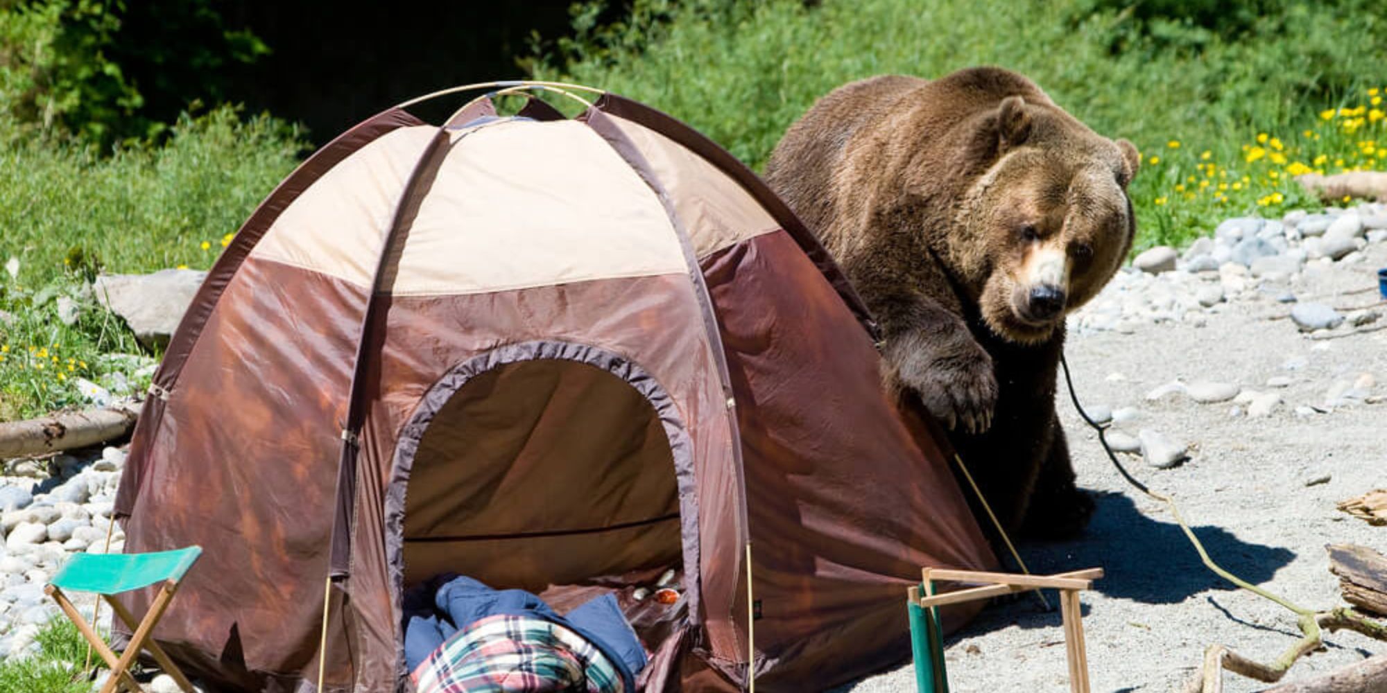 How-To-Keep-Animals-Away-From-Campsite how-to-keep-animals-away-from-campsite
