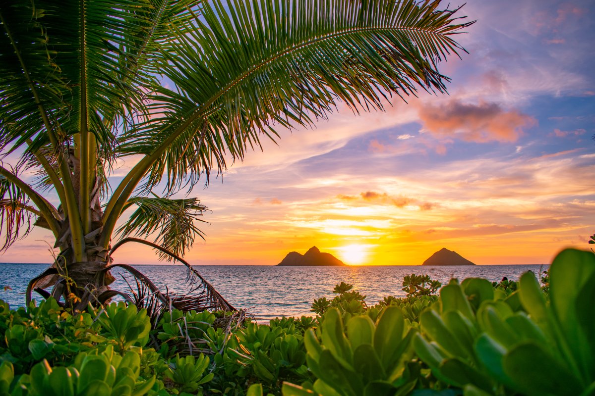 how-to-plan-a-trip-to-hawaii-for-a-cheap-cost