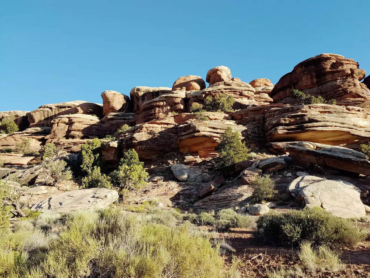 How-To-Reserve-A-Campsite-At-Squaw-Flat-In-Canyonlands how-to-reserve-a-campsite-at-squaw-flat-in-canyonlands